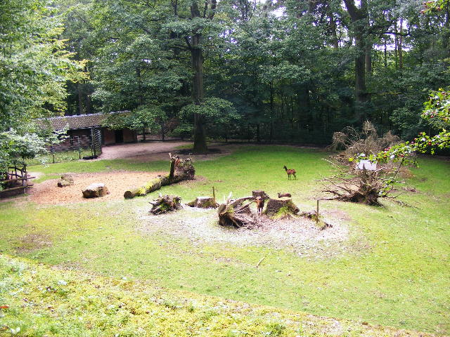 Prince Alfred Deer (Enclosure)