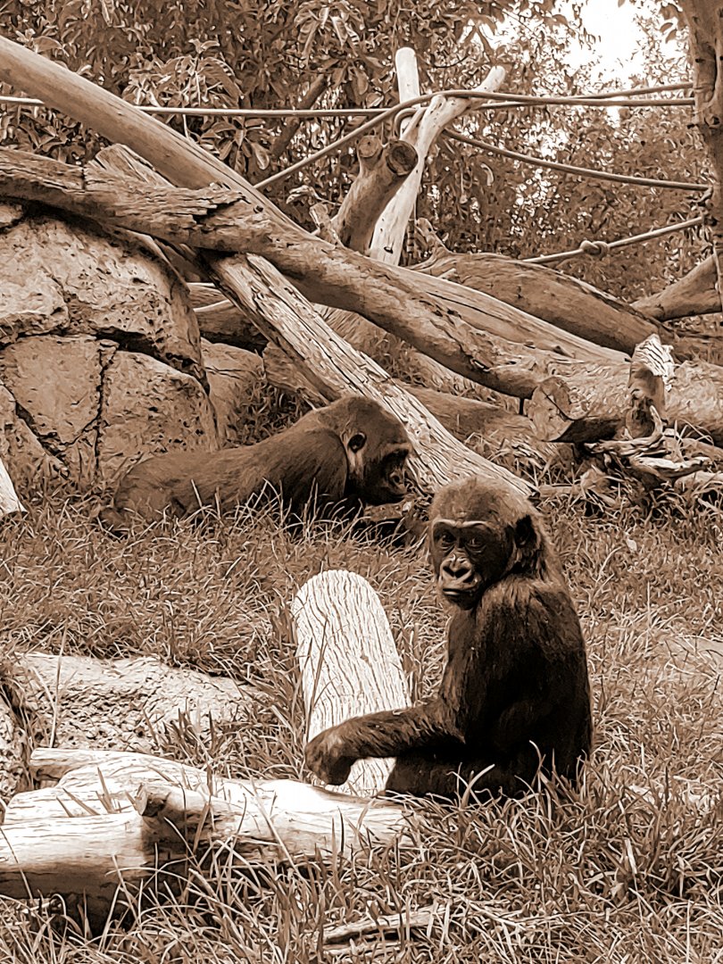 Prince Denny & Jessica