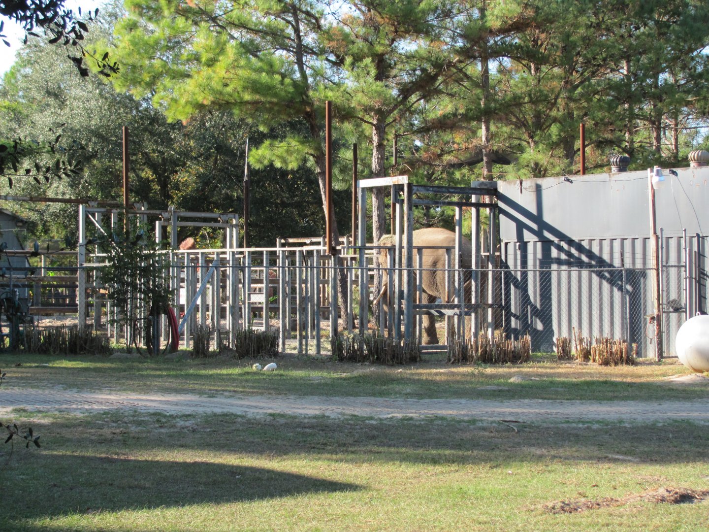 Prince In Holding Pen November 2010