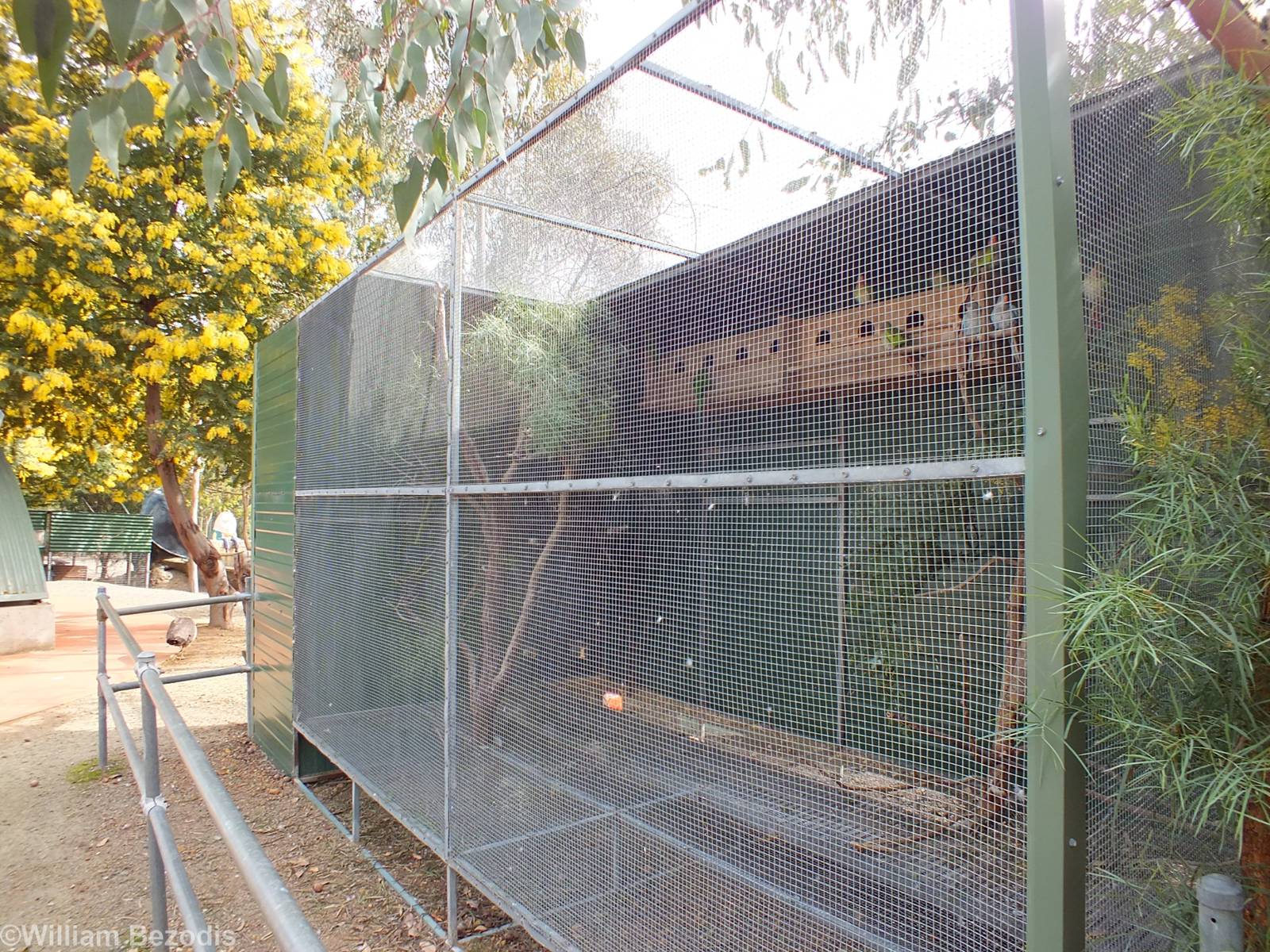 Princess and Superb Parrot Aviary - Cohunu Koala Park
