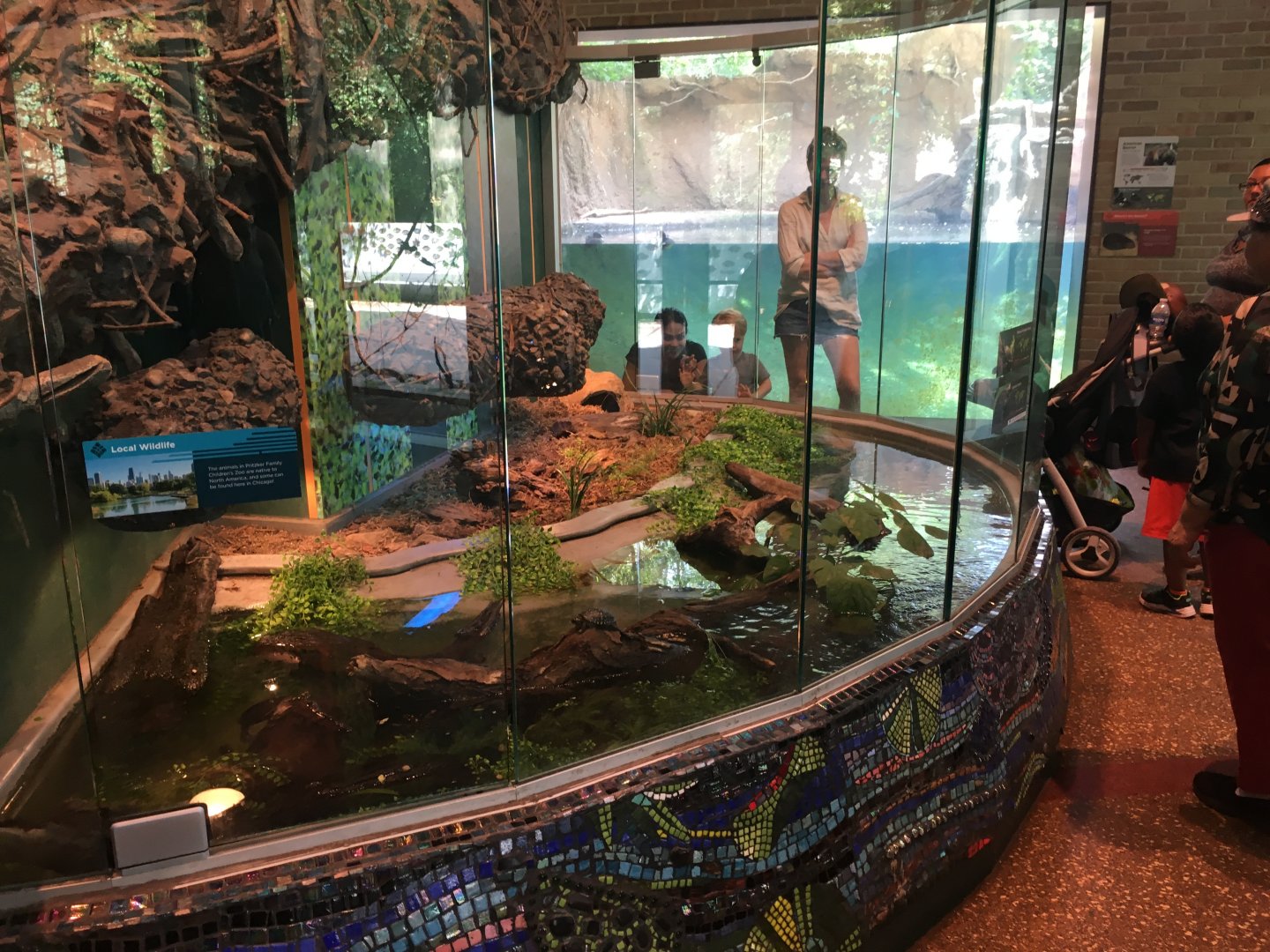Pritzker Family Children's Zoo - Turtle Terrarium (with Beaver exhibit in back)