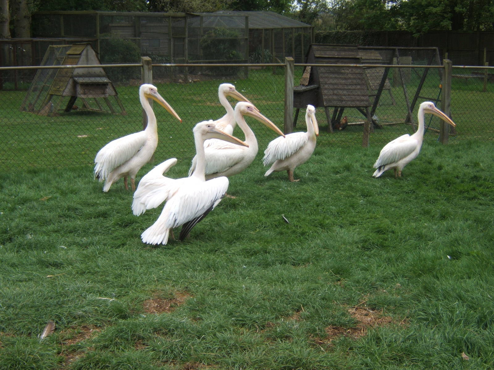 Private Collection owned by Christopher Marler