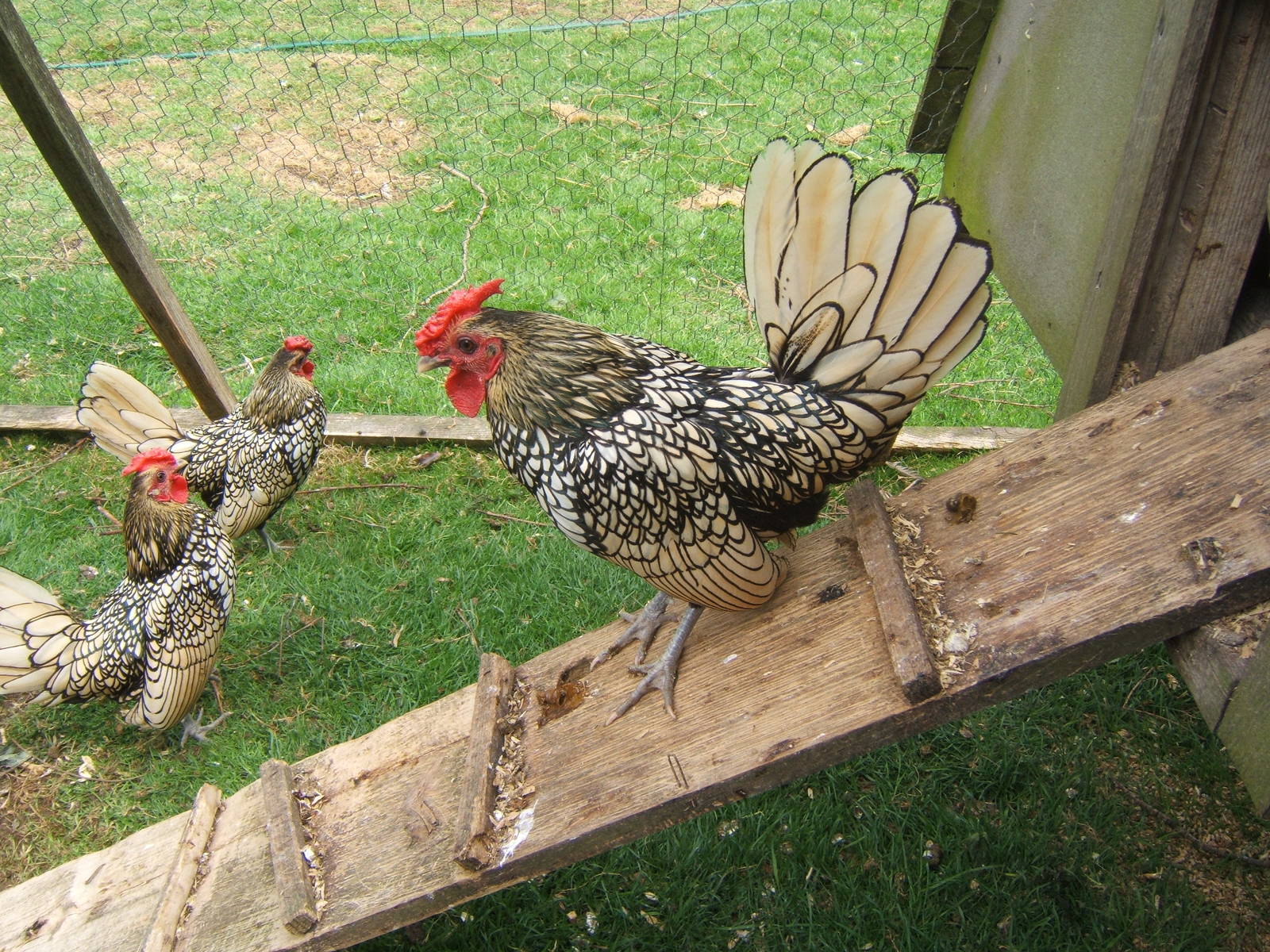 Private Collection owned by Christopher Marler