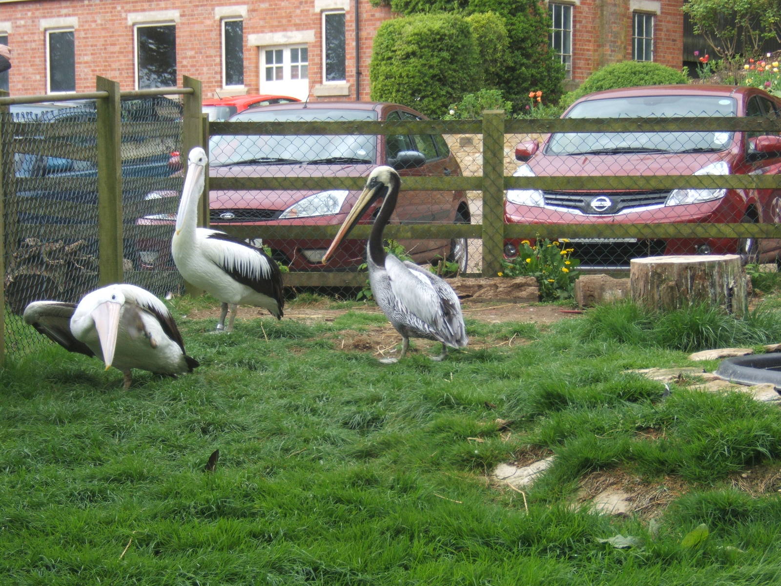 Private Collection owned by Christopher Marler