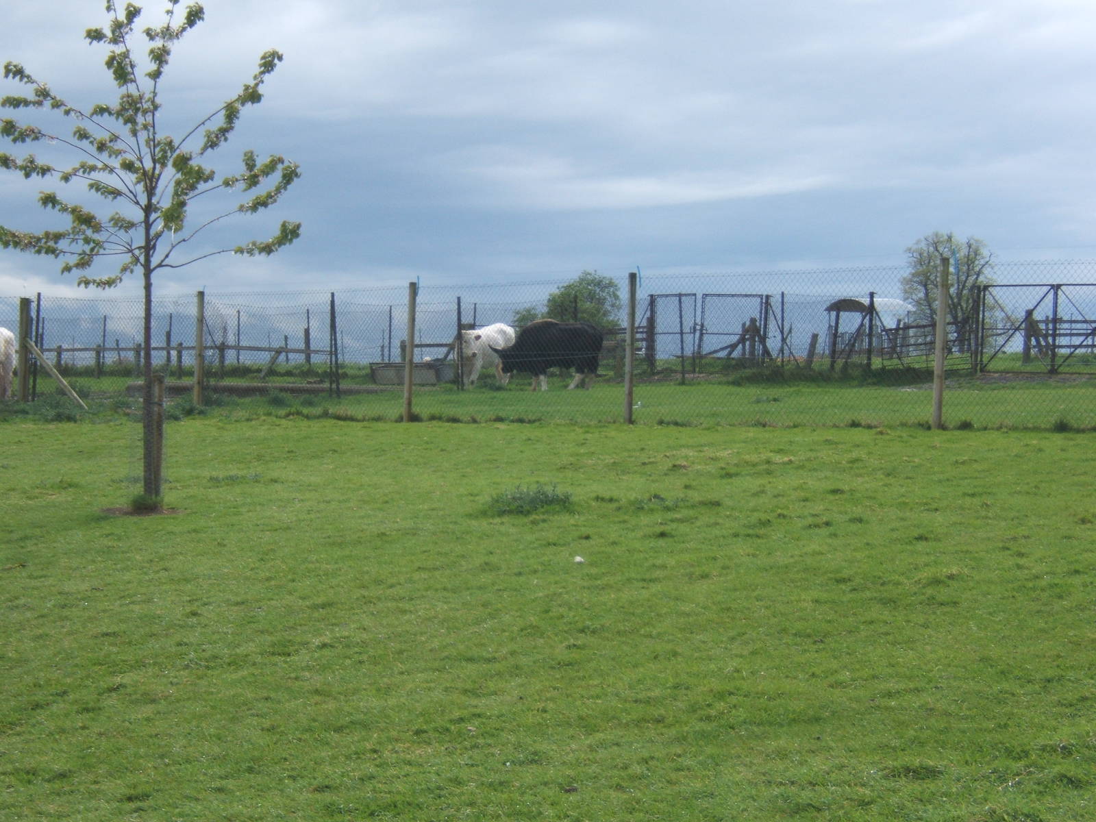 Private Collection owned by Christopher Marler