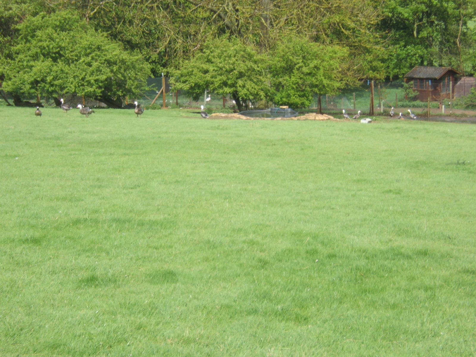 Private Collection owned by Christopher Marler