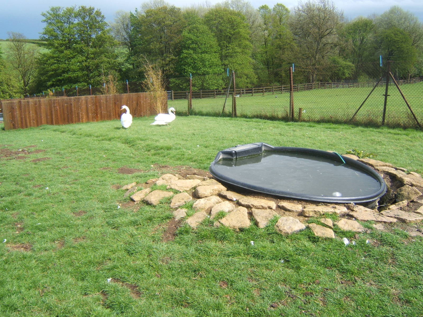 Private Collection owned by Christopher Marler