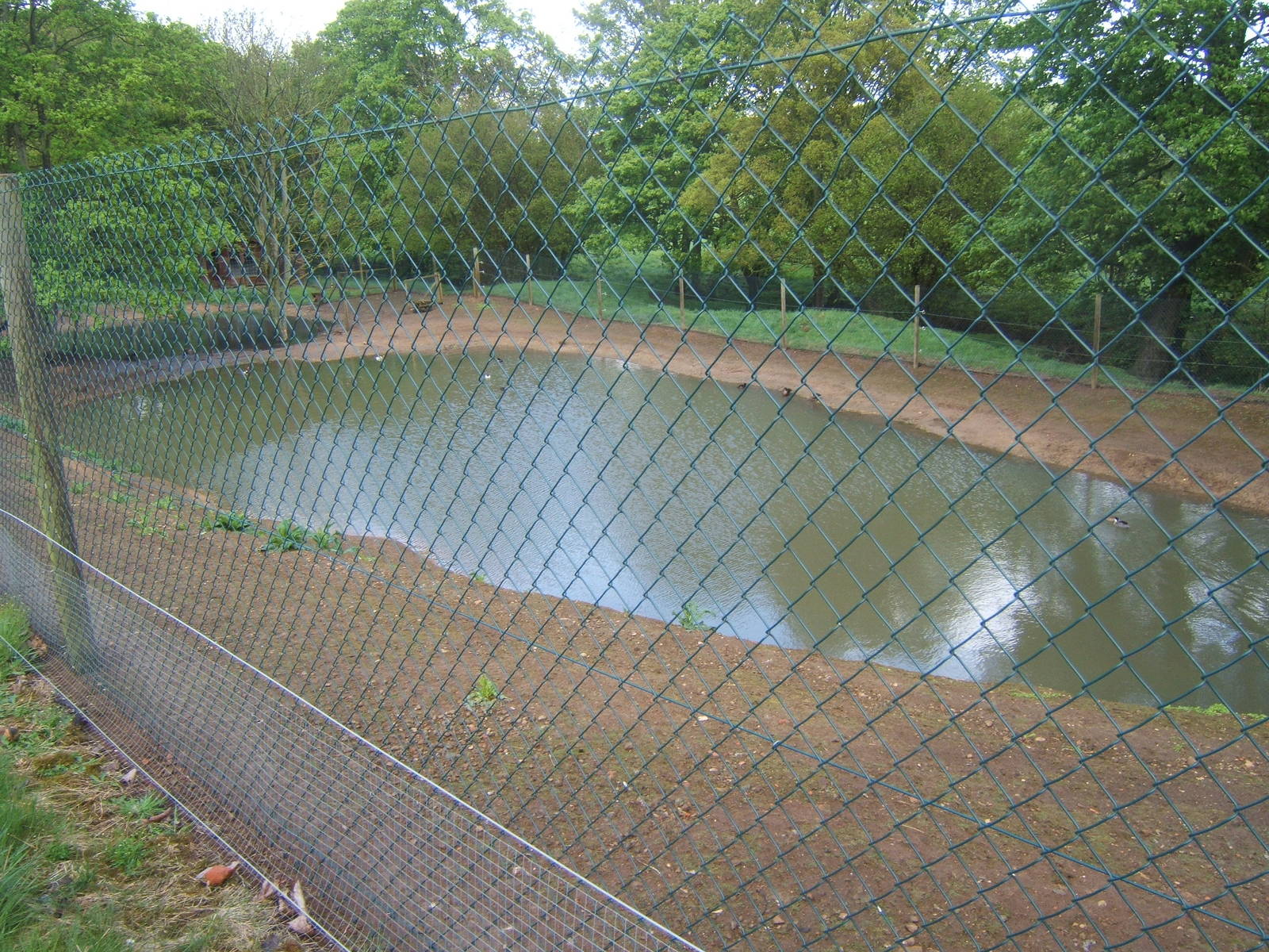 Private Collection owned by Christopher Marler