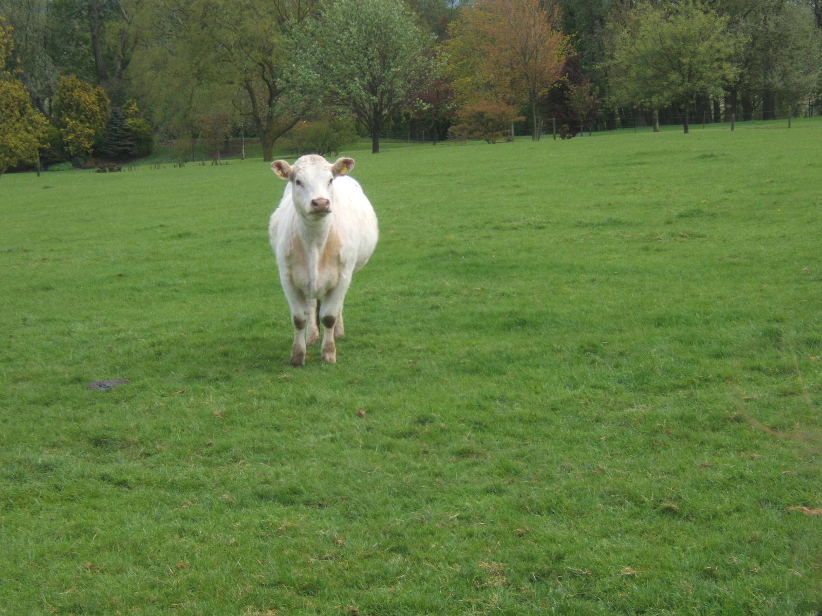 Private Collection owned by Christopher Marler