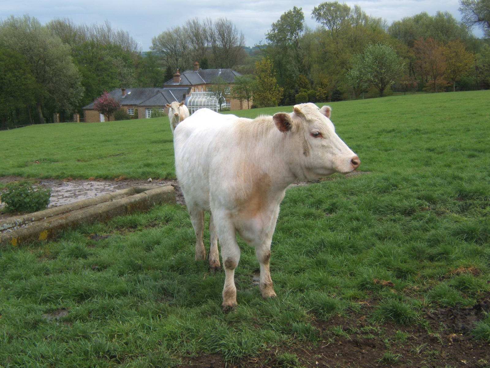 Private Collection owned by Christopher Marler