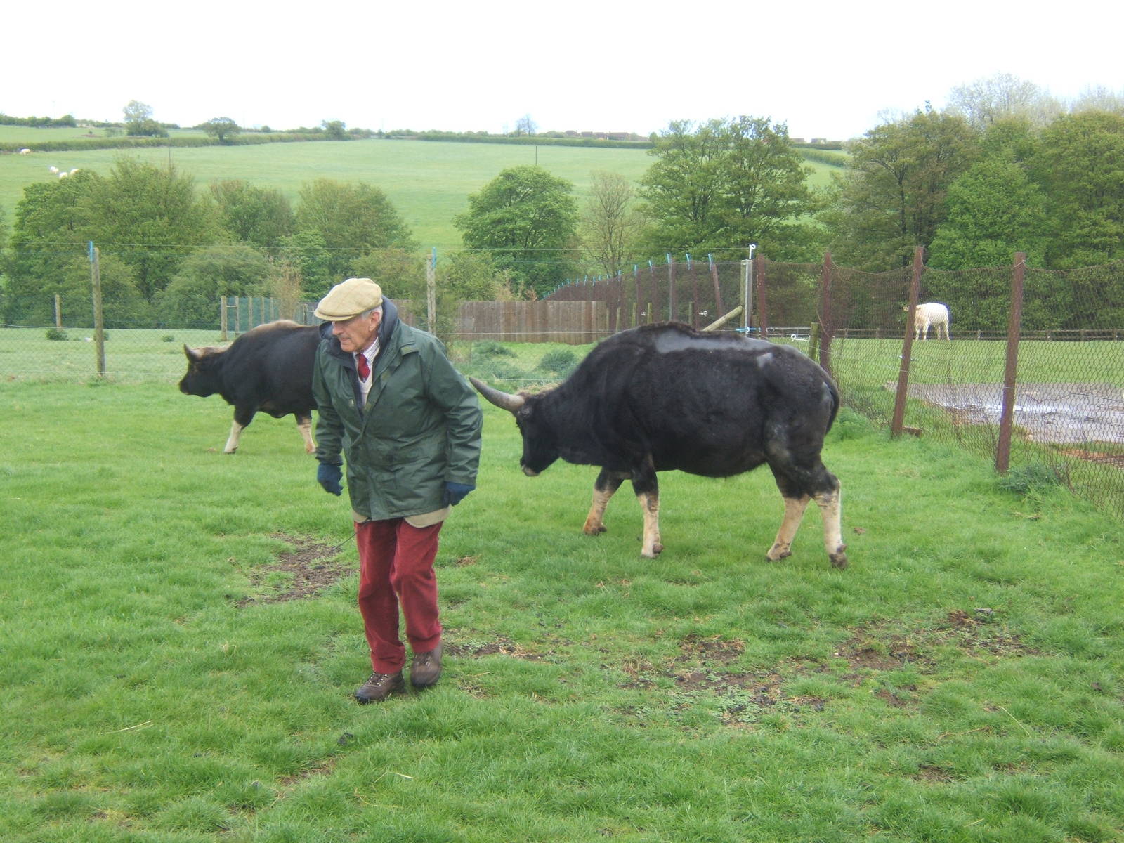 Private Collection owned by Christopher Marler