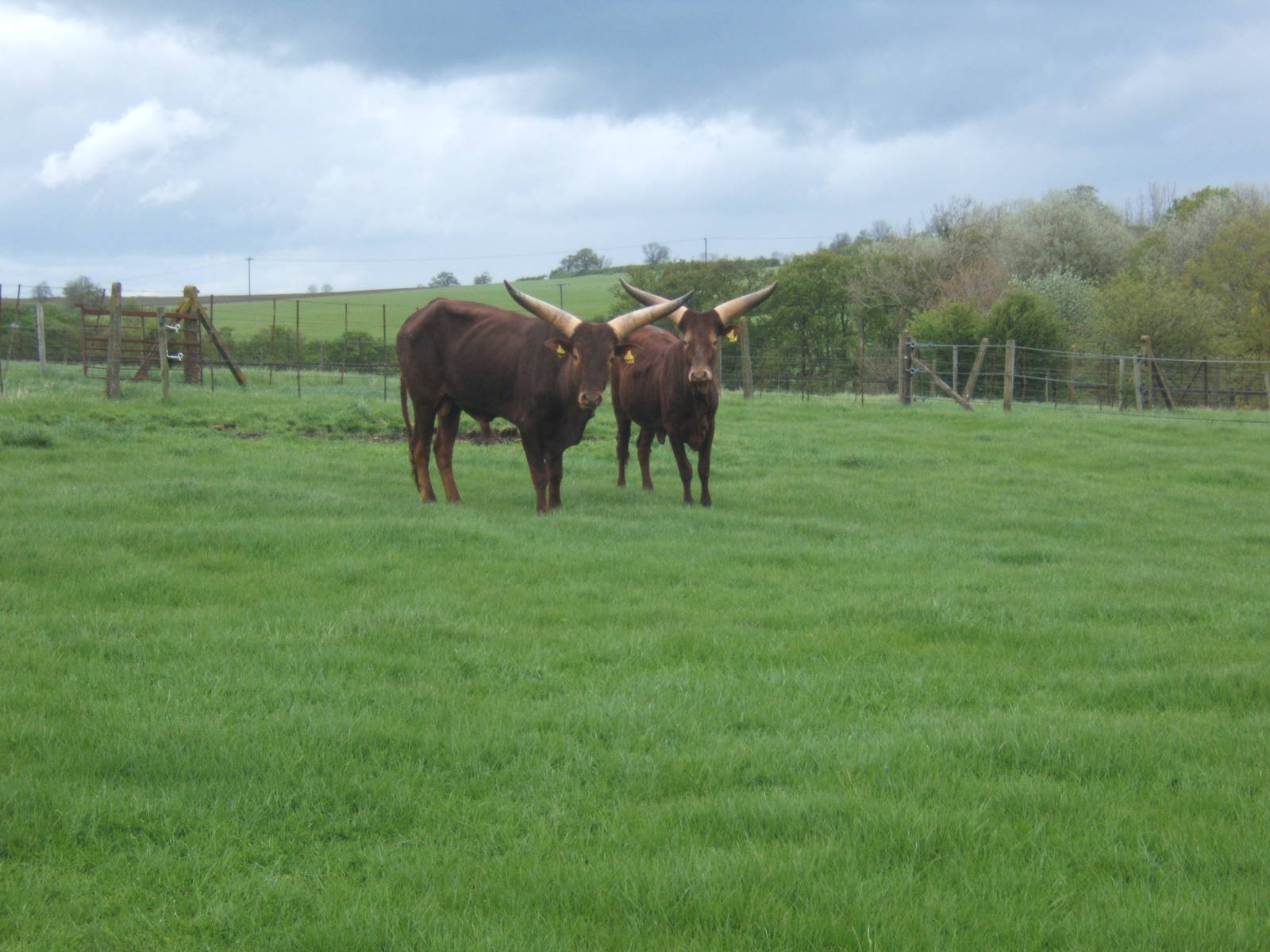 Private Collection owned by Christopher Marler