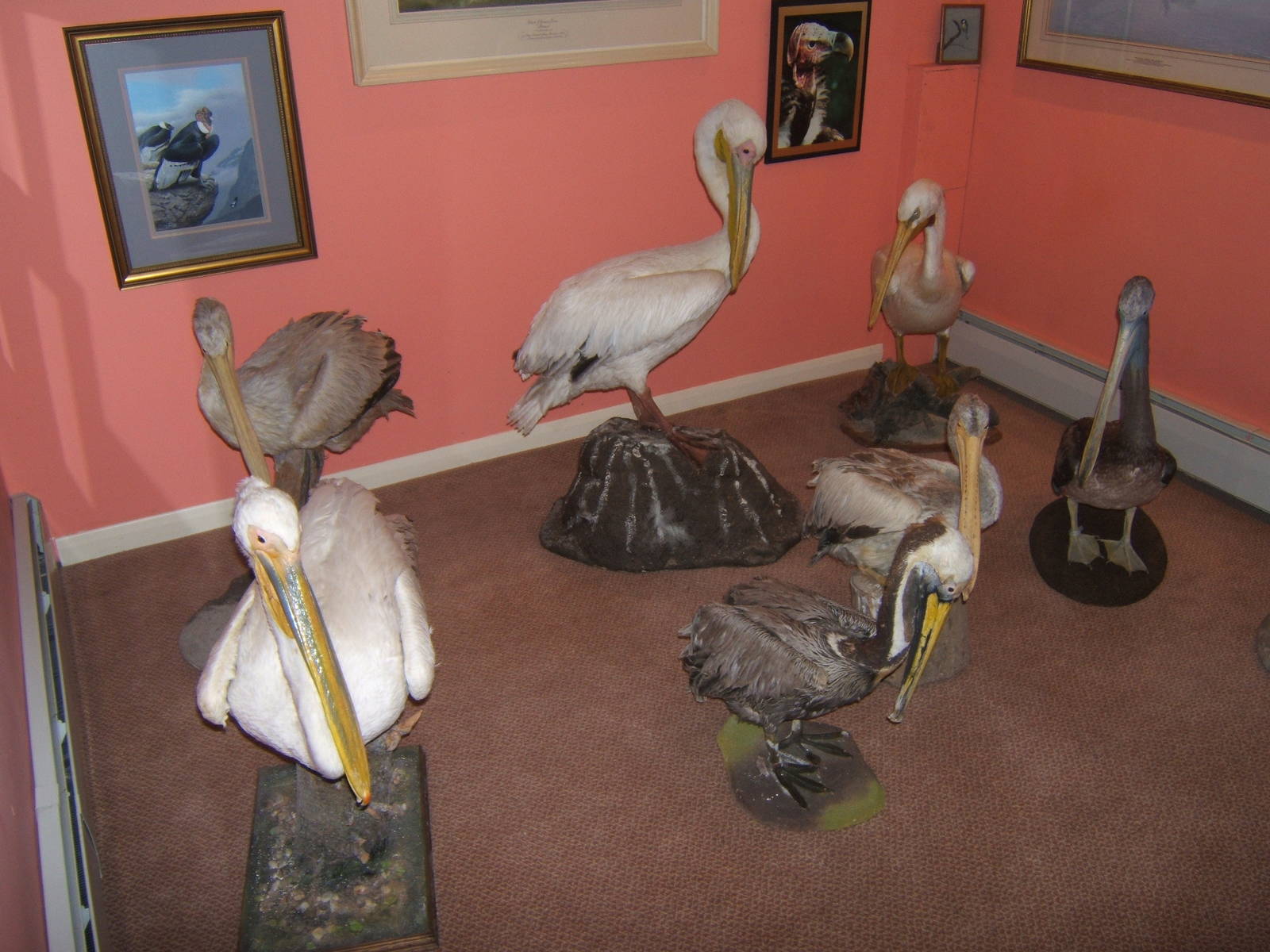 Private Collection owned by Christopher Marler