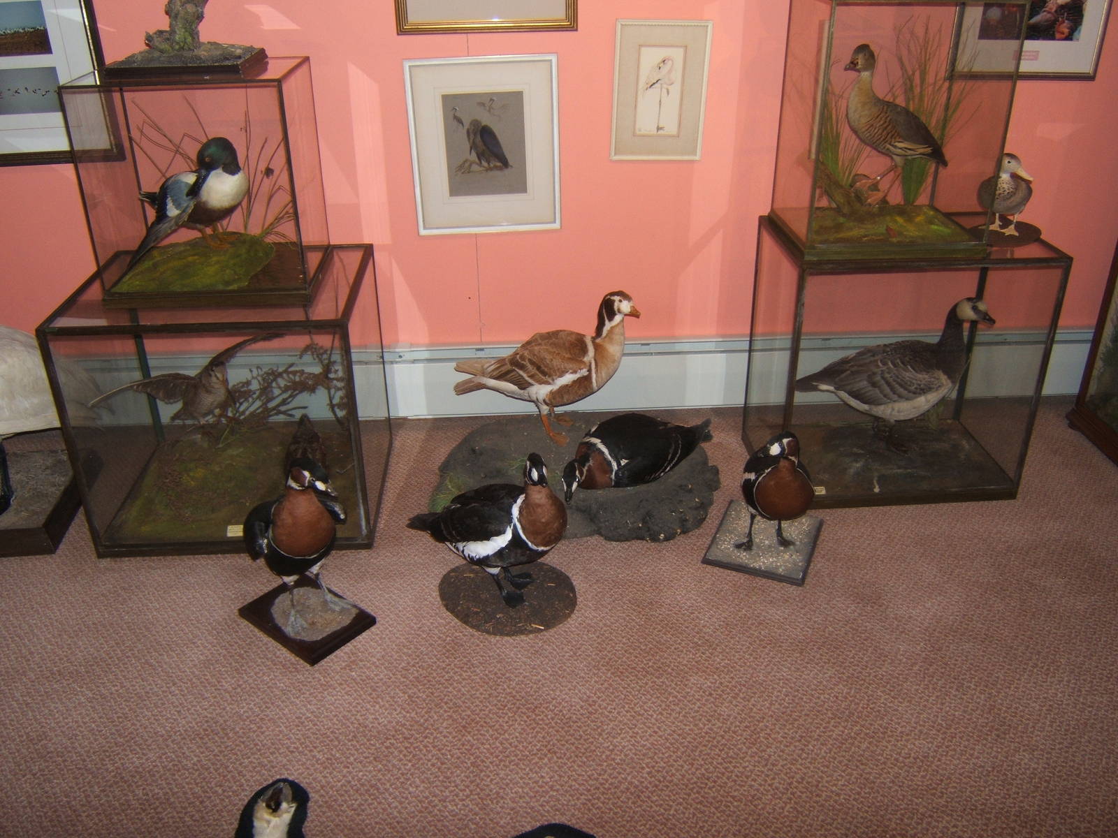 Private Collection owned by Christopher Marler