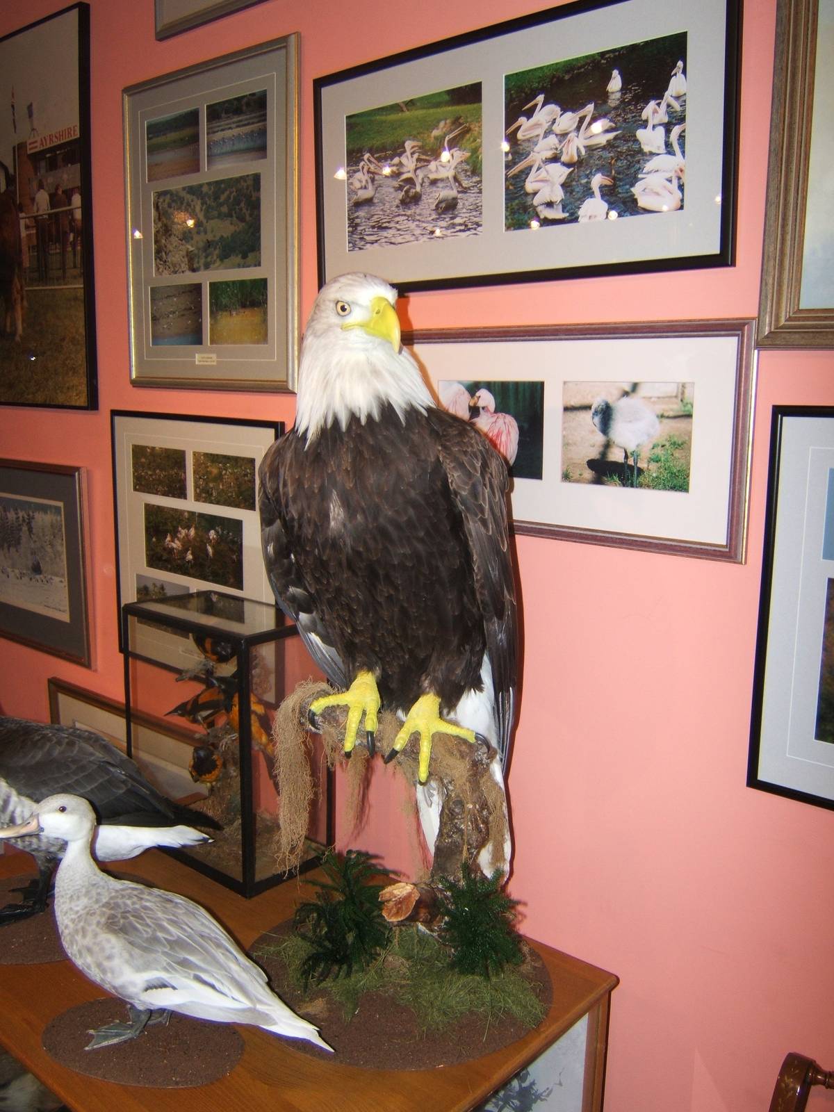 Private Collection owned by Christopher Marler