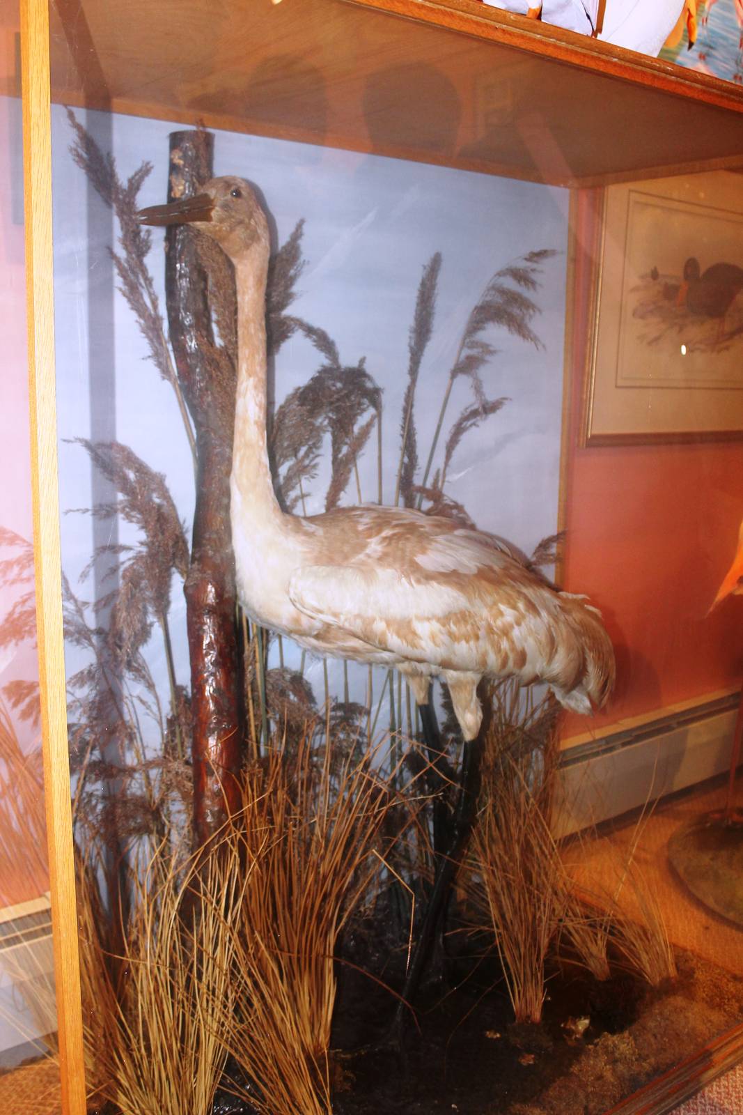 Private Collection owned by Christopher Marler