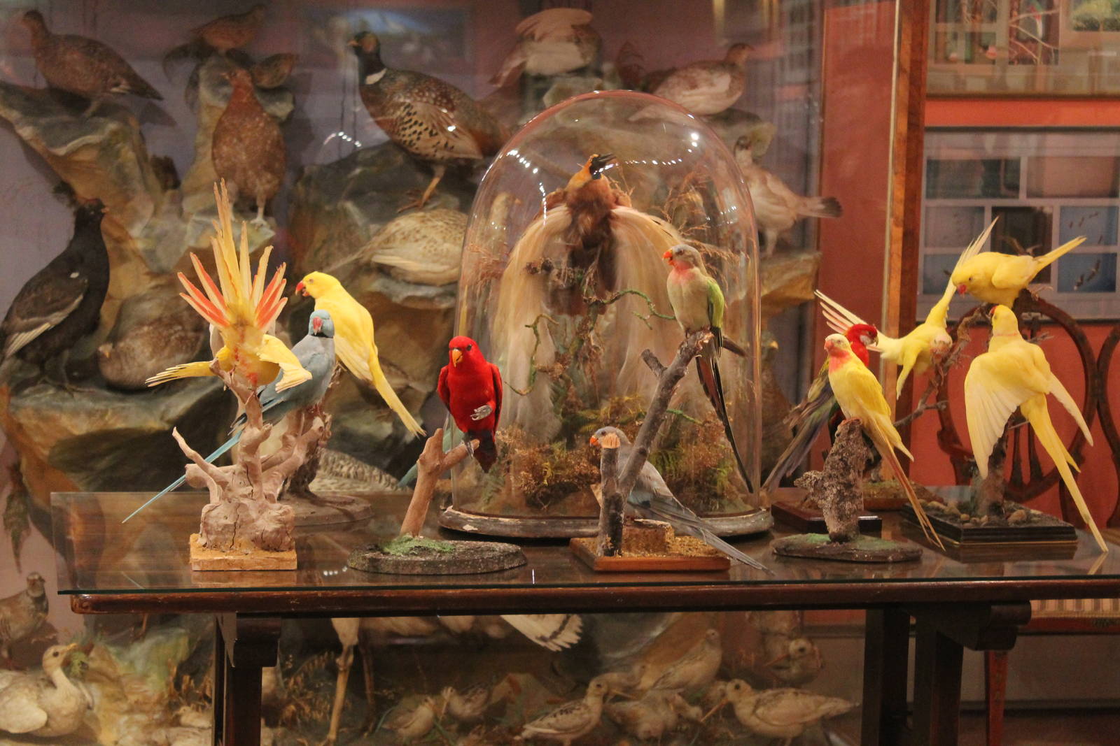 Private Collection owned by Christopher Marler