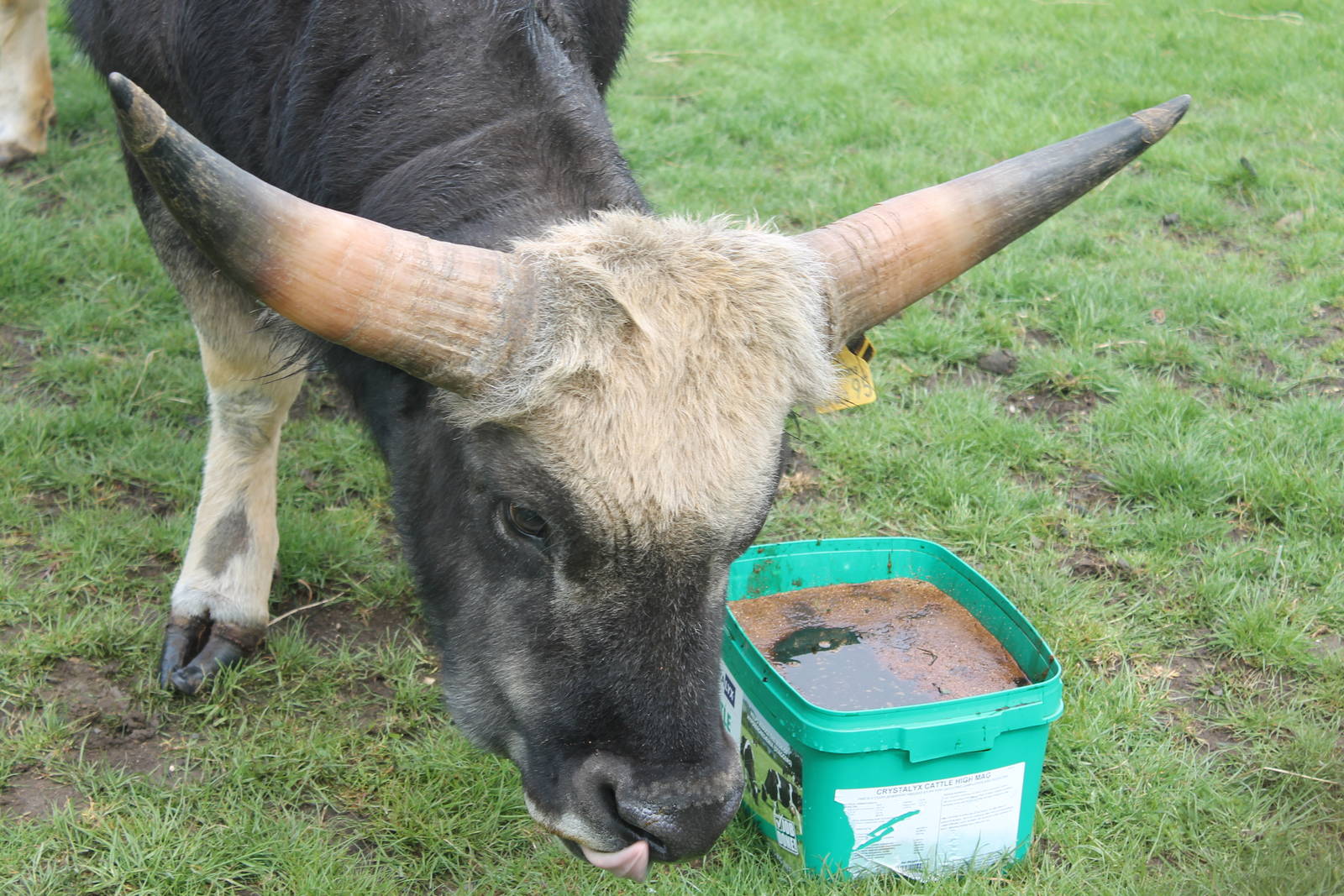 Private Collection owned by Christopher Marler