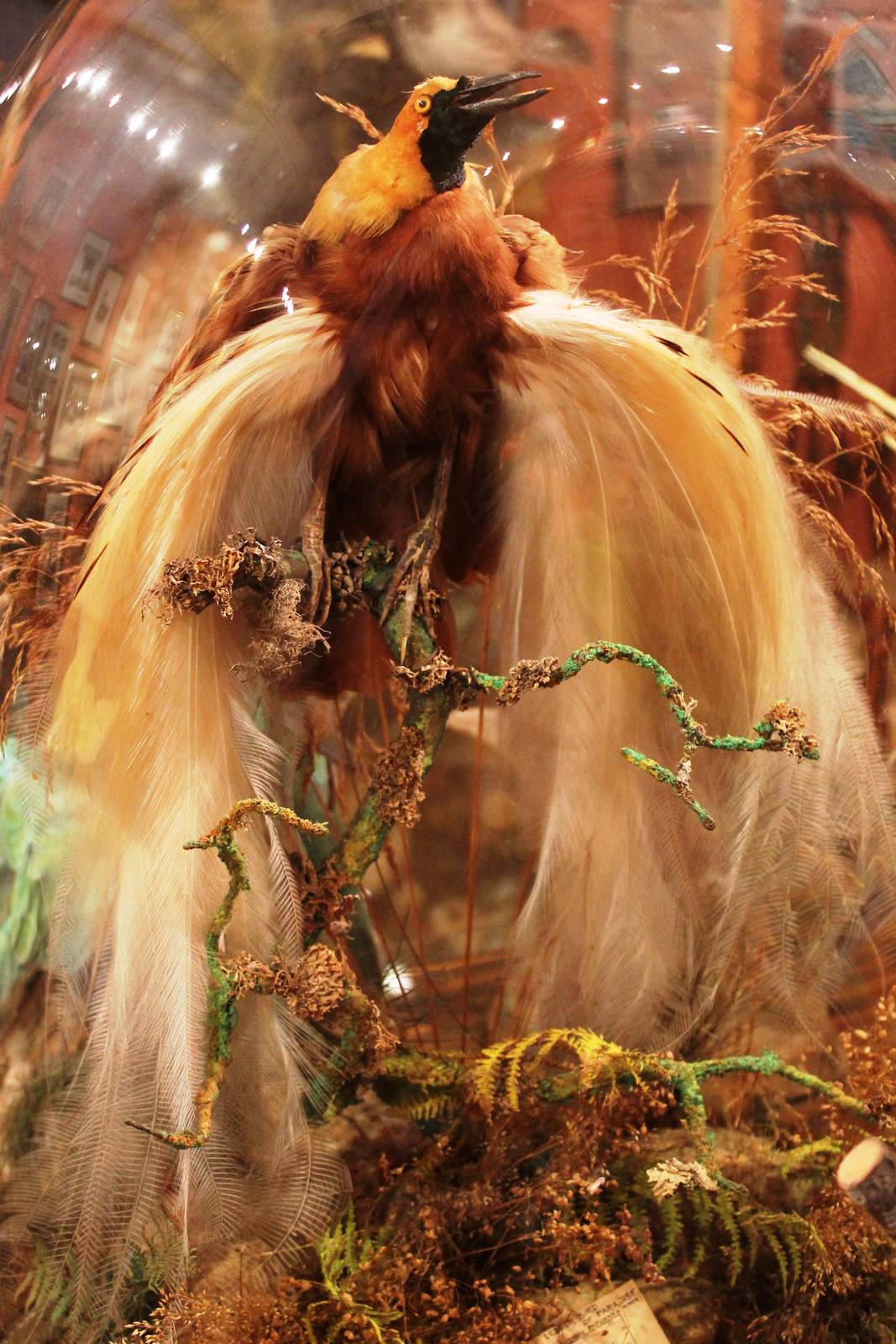 Private Collection owned by Christopher Marler