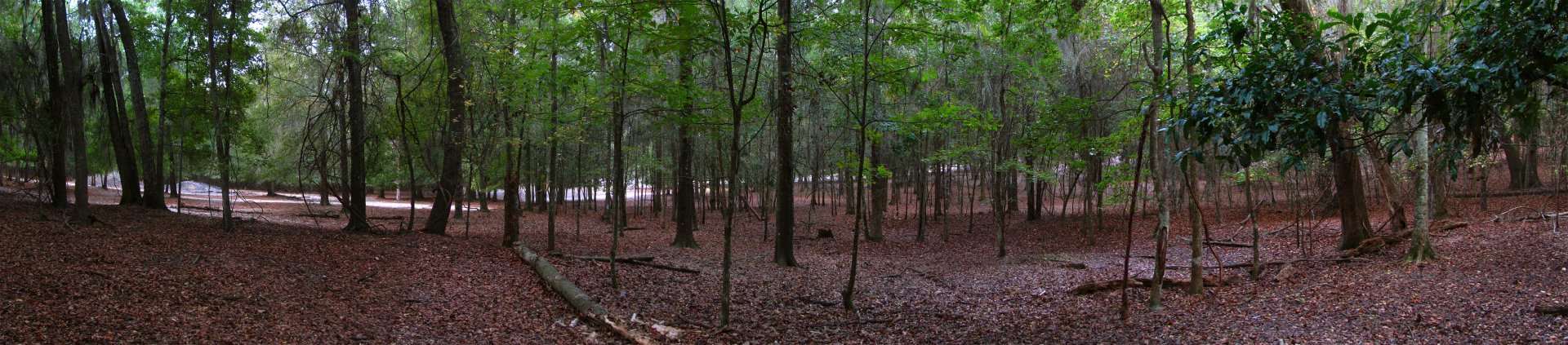 Private Facility - Indian Rhino Enclosure