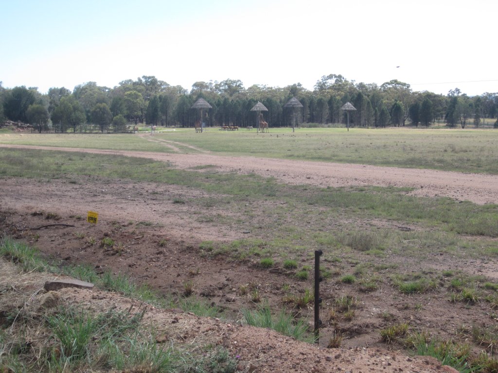 Private viewing of the African Savanna