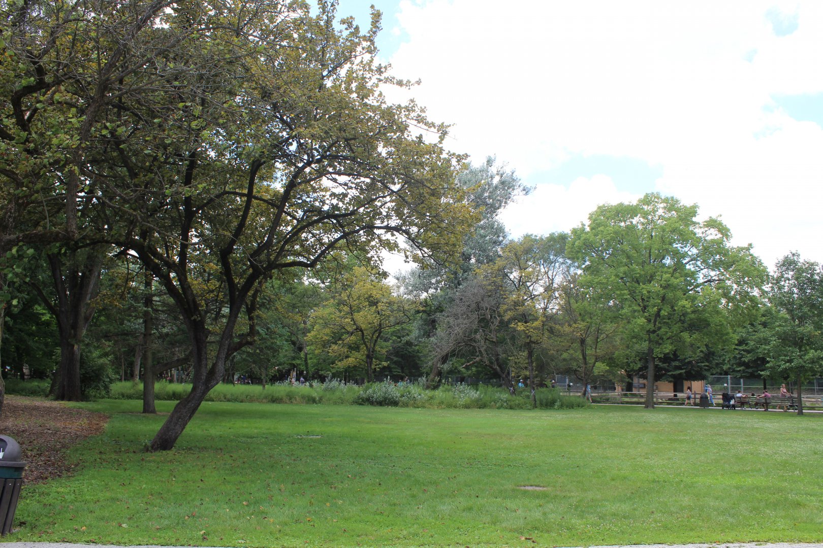 Problem Area - Empty Field