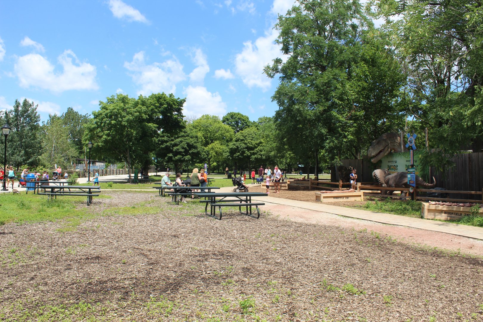 Problem Area - Former Bird Show Arena