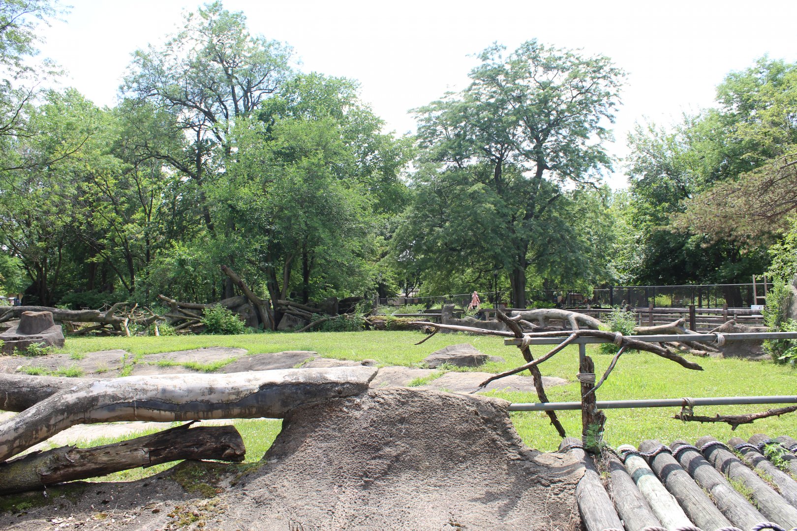 Problem Area - Former Hippo Pool