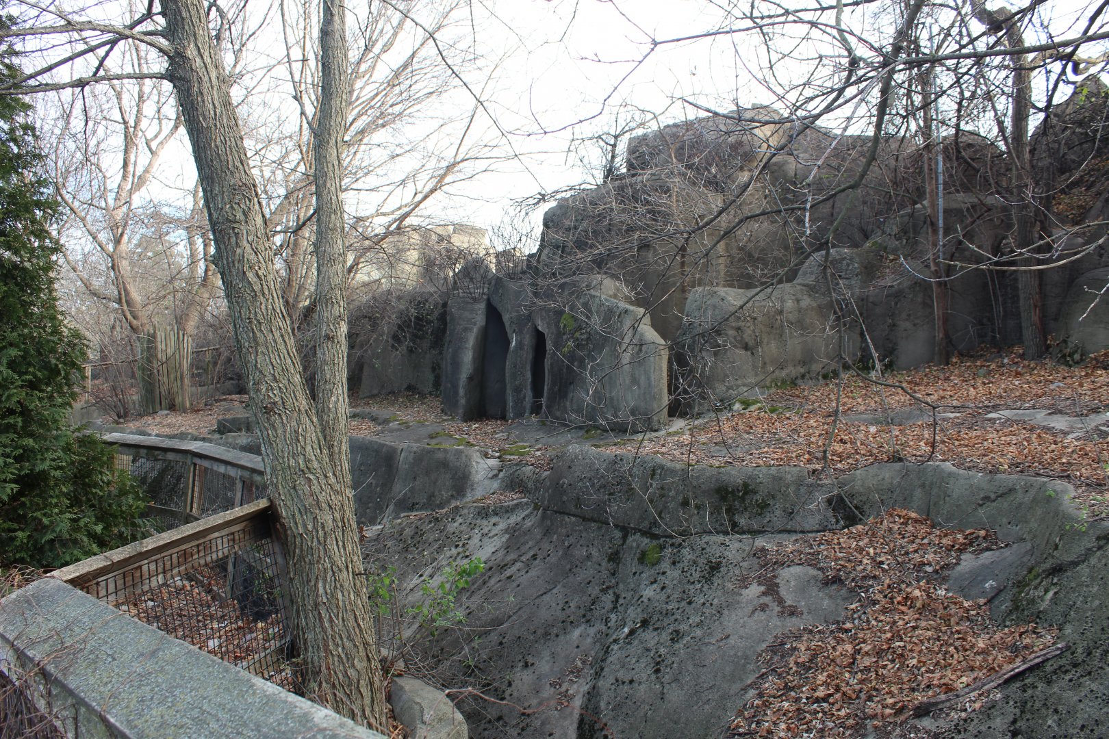 Problem Area - Former Sheep Ridge