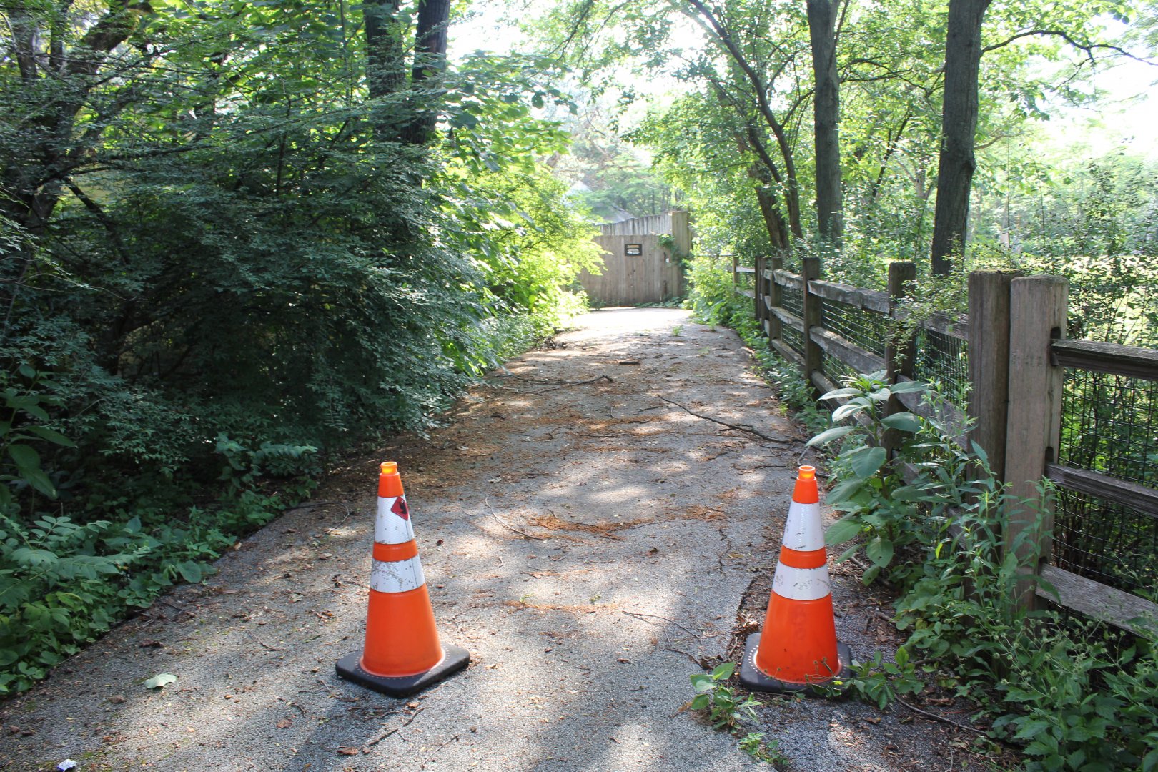 Problem Area - Path to Former Aardvark House