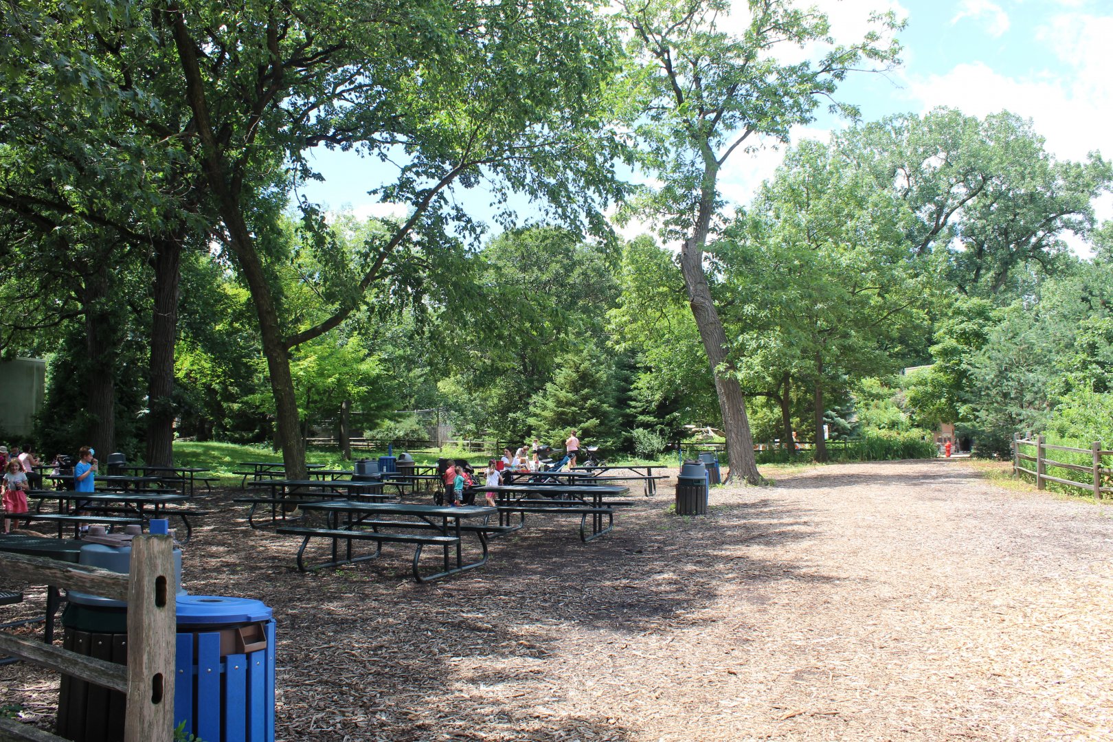 Problem Area - Picnic Area
