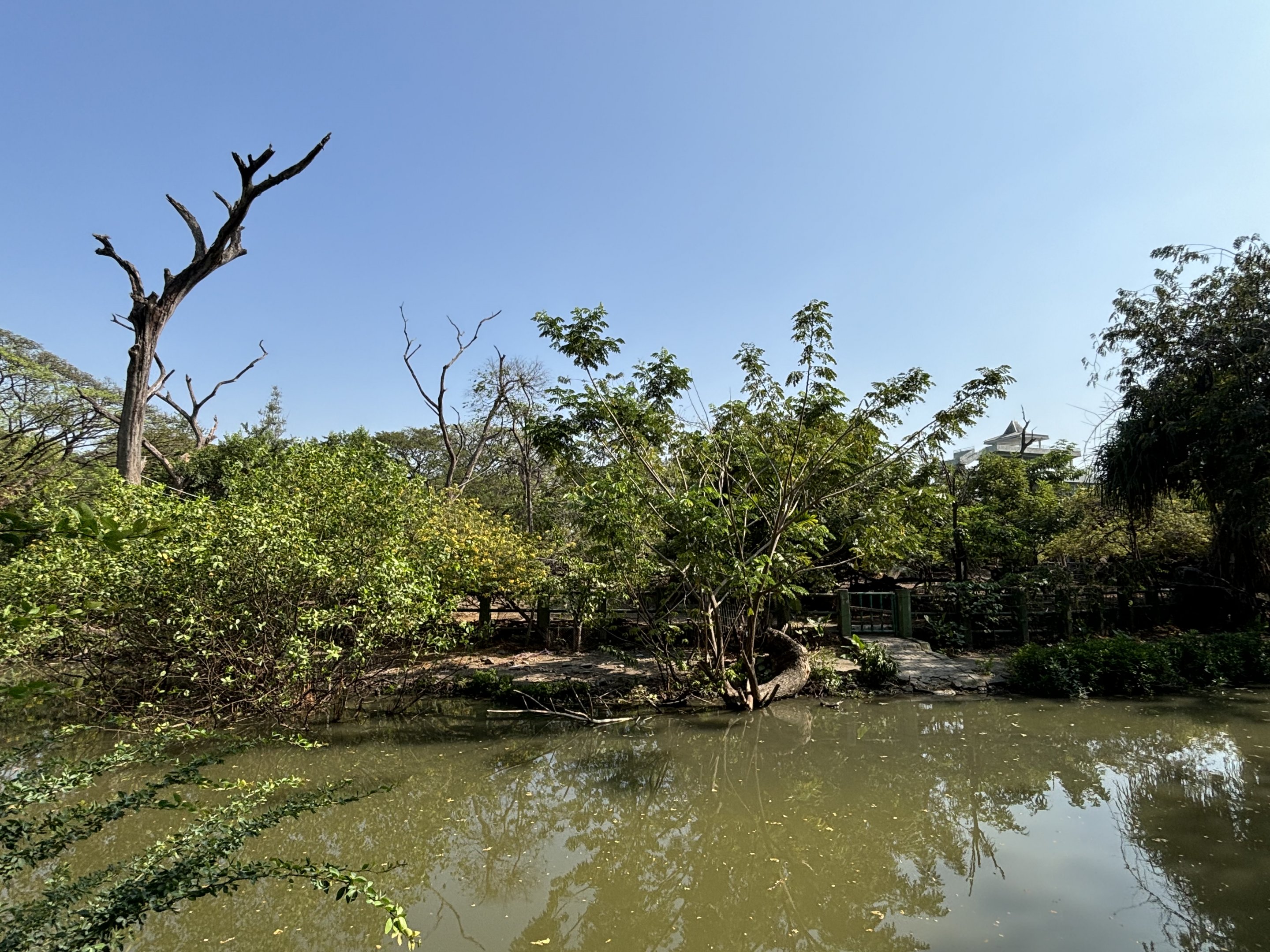 Proboscis Monkey + Bawean Deer Exhibit