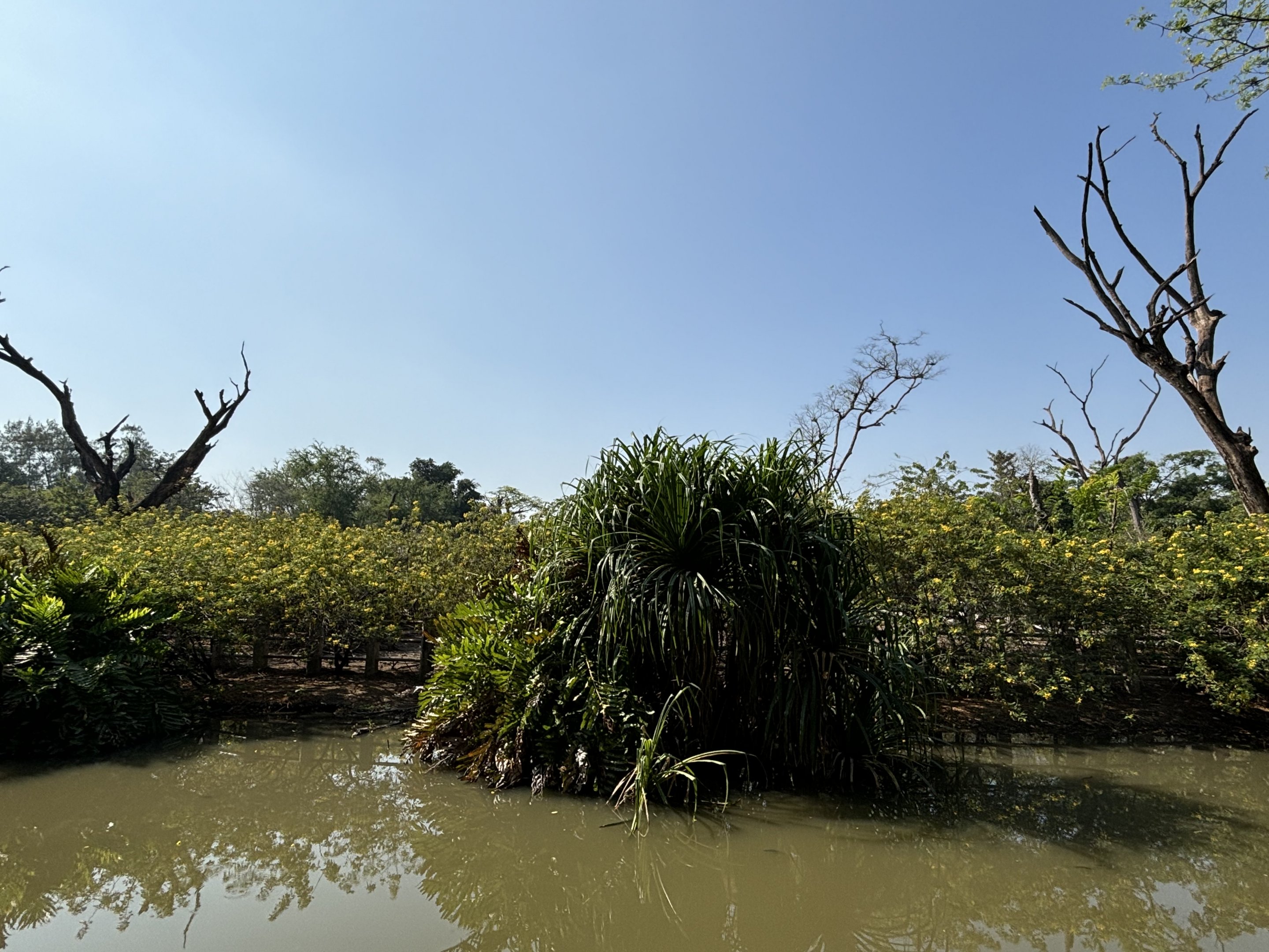 Proboscis Monkey + Bawean Deer Exhibit