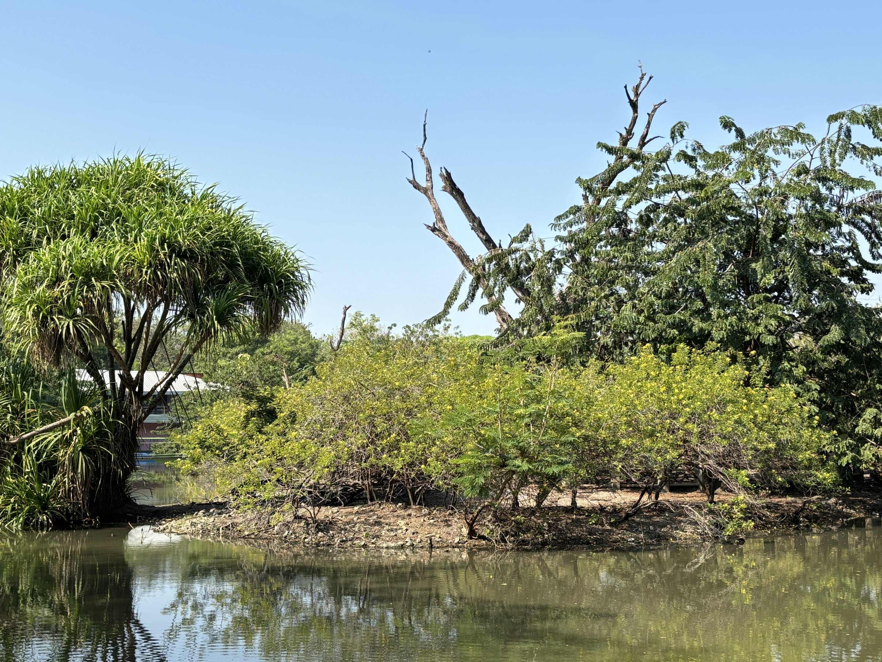 Proboscis Monkey + Bawean Deer Exhibit