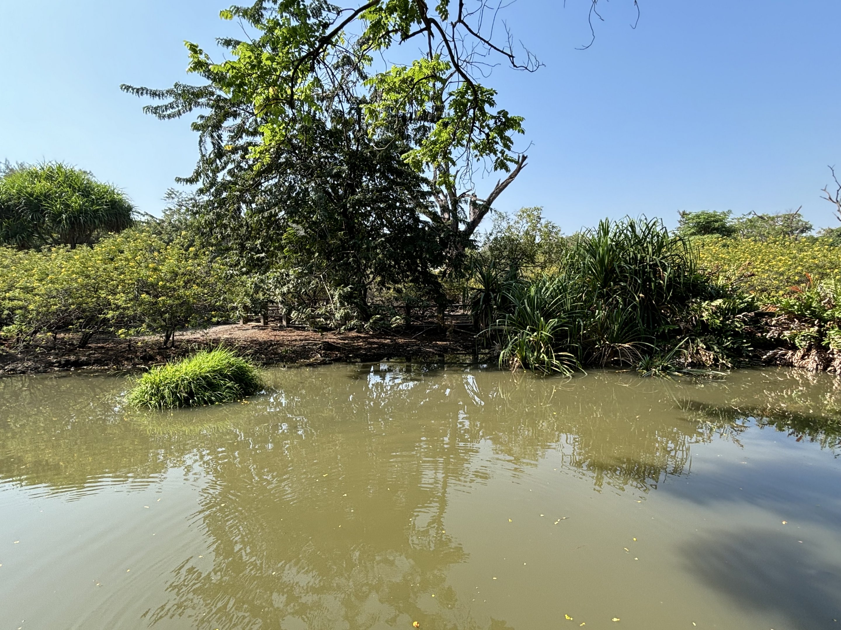 Proboscis Monkey + Bawean Deer Exhibit