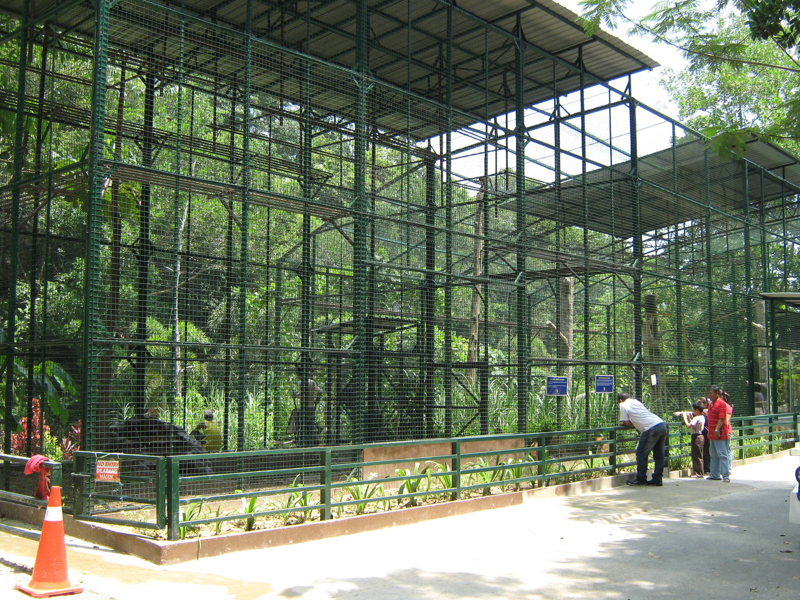 proboscis monkey cage