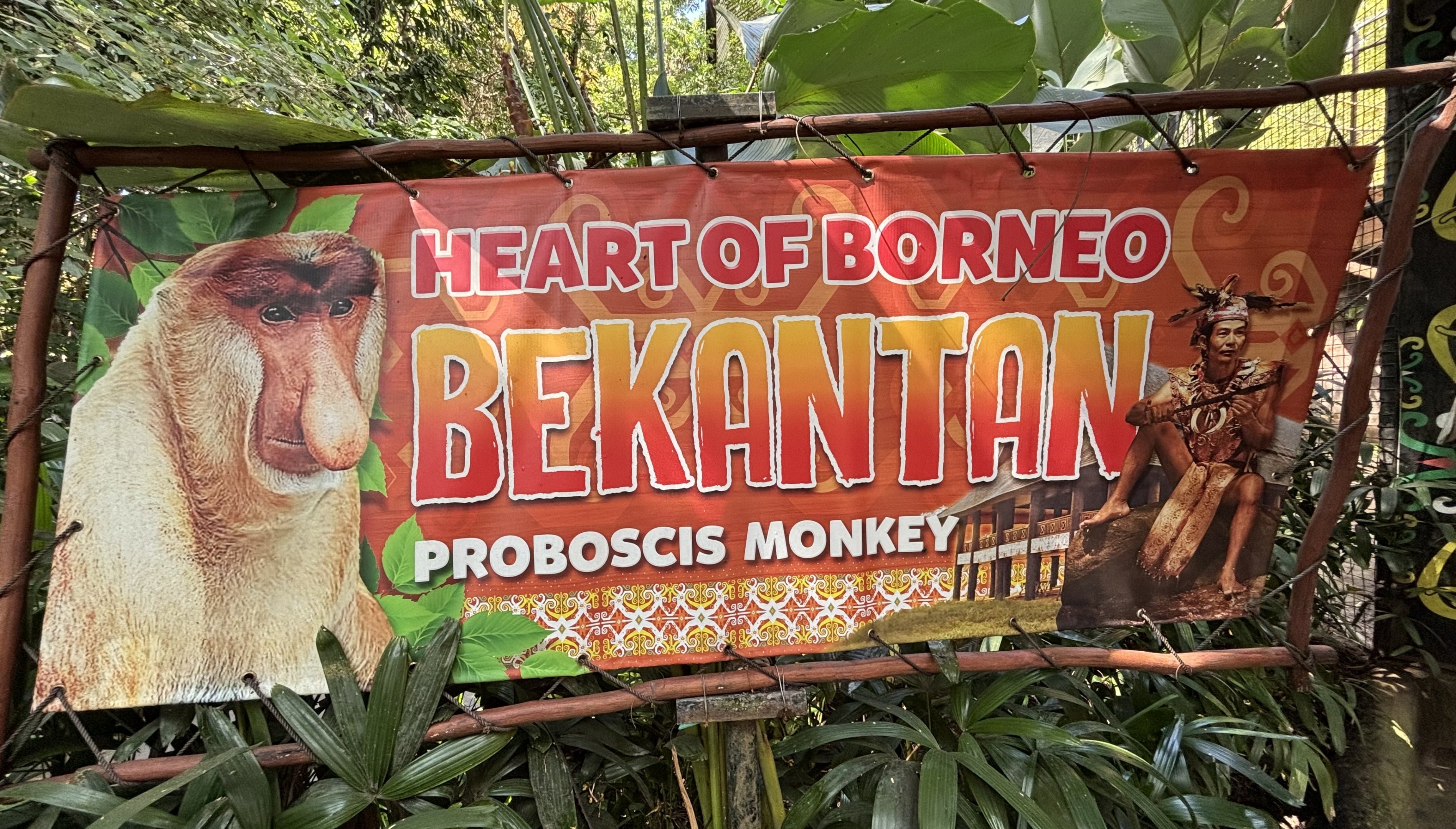 Proboscis Monkey Exhibit Sign