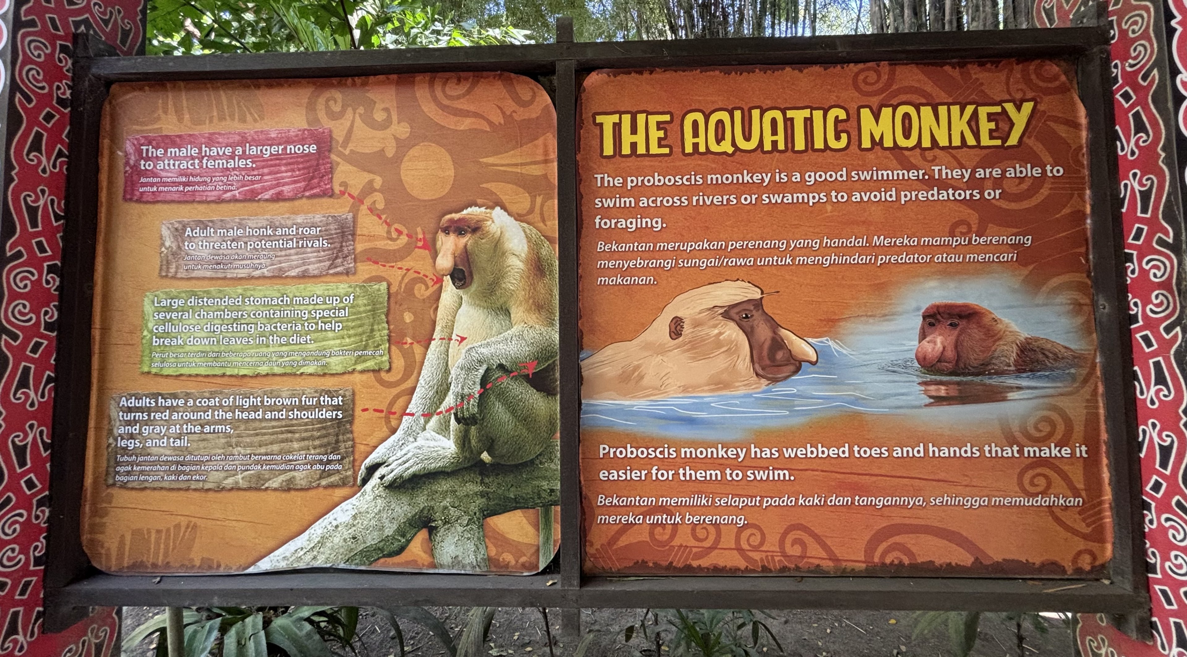 Proboscis Monkey Exhibit Sign