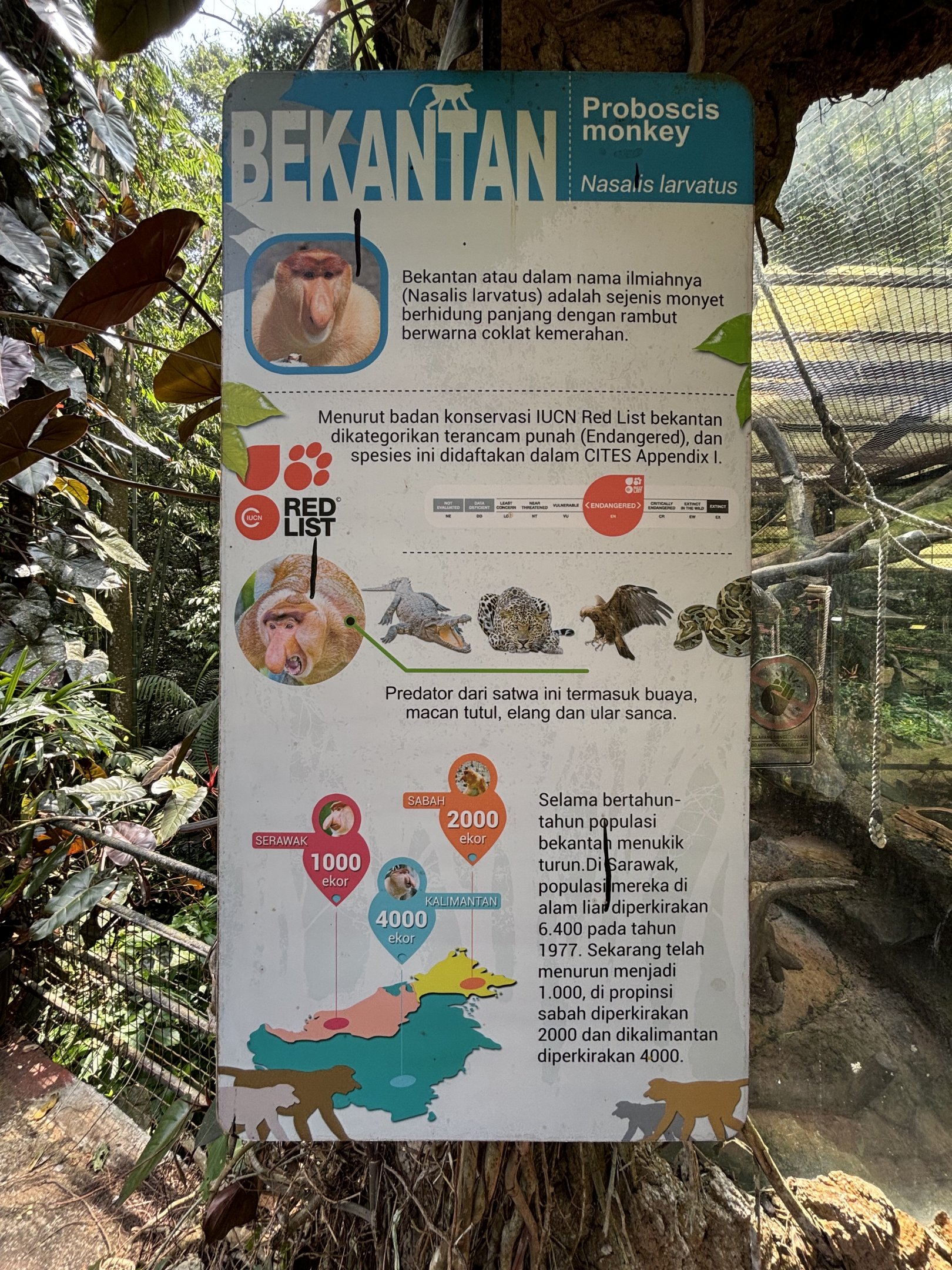 Proboscis Monkey Exhibit Sign