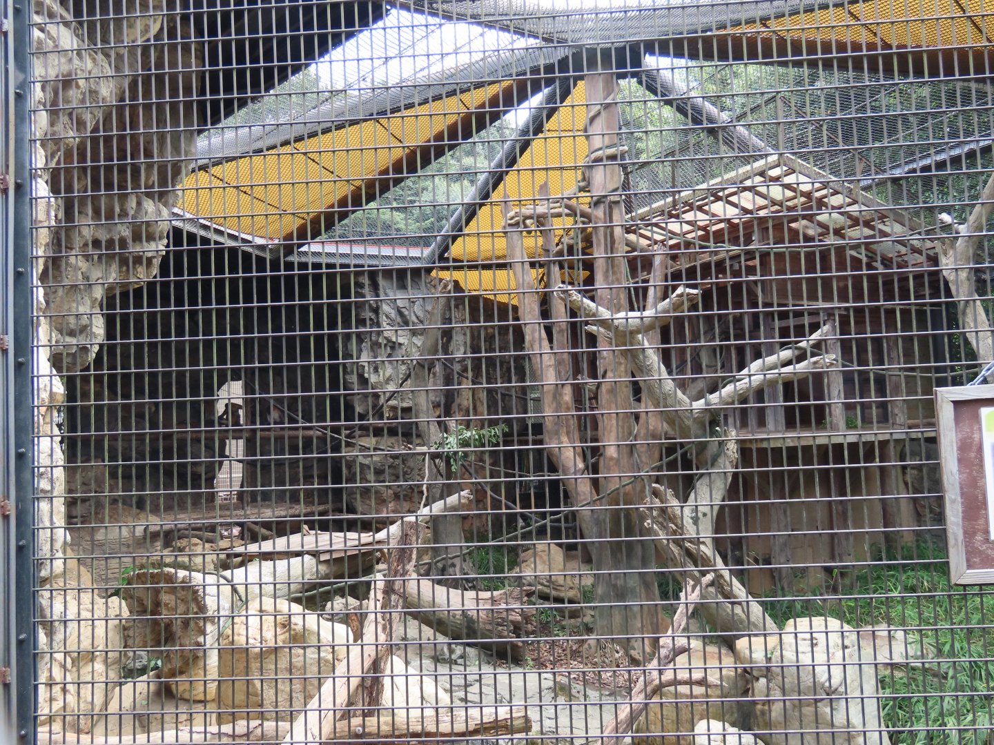 Proboscis monkey exhibit