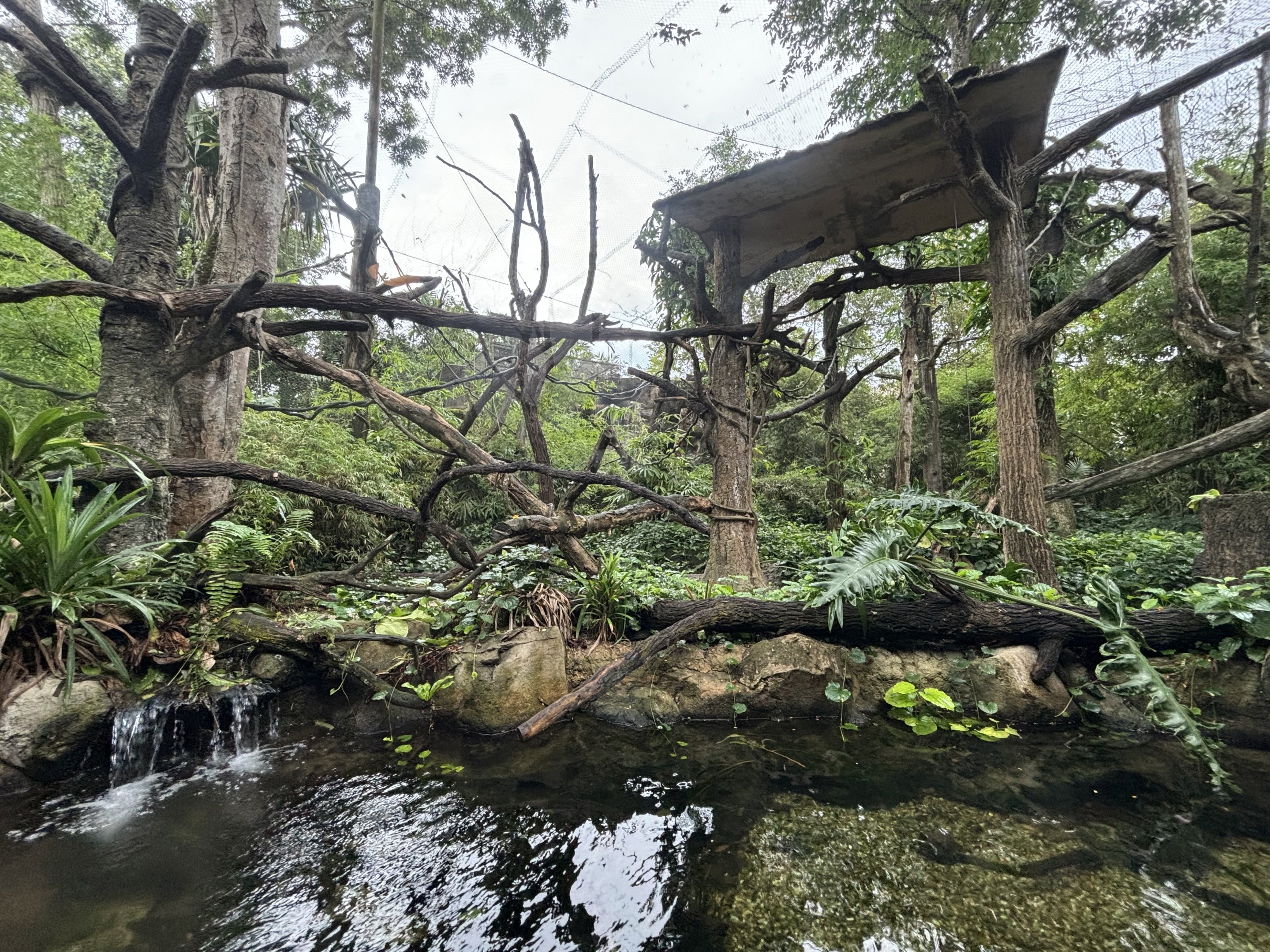 Proboscis Monkey Exhibit