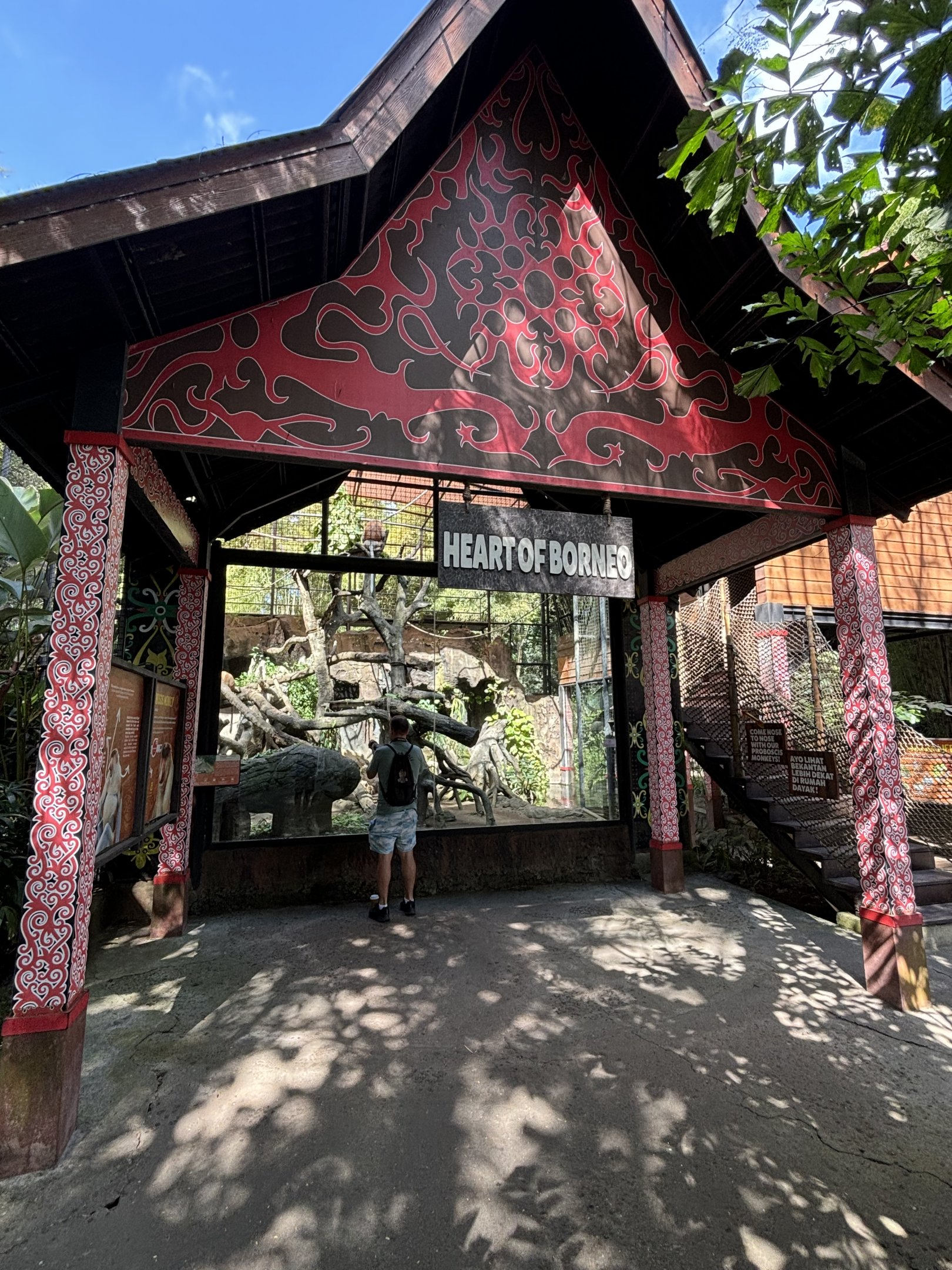 Proboscis Monkey Exhibit