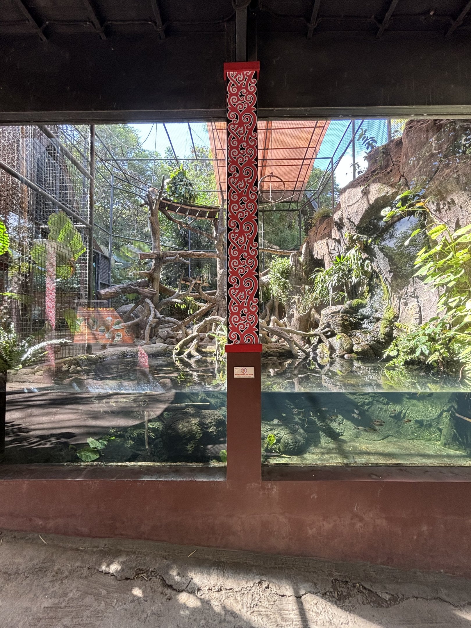 Proboscis Monkey Exhibit