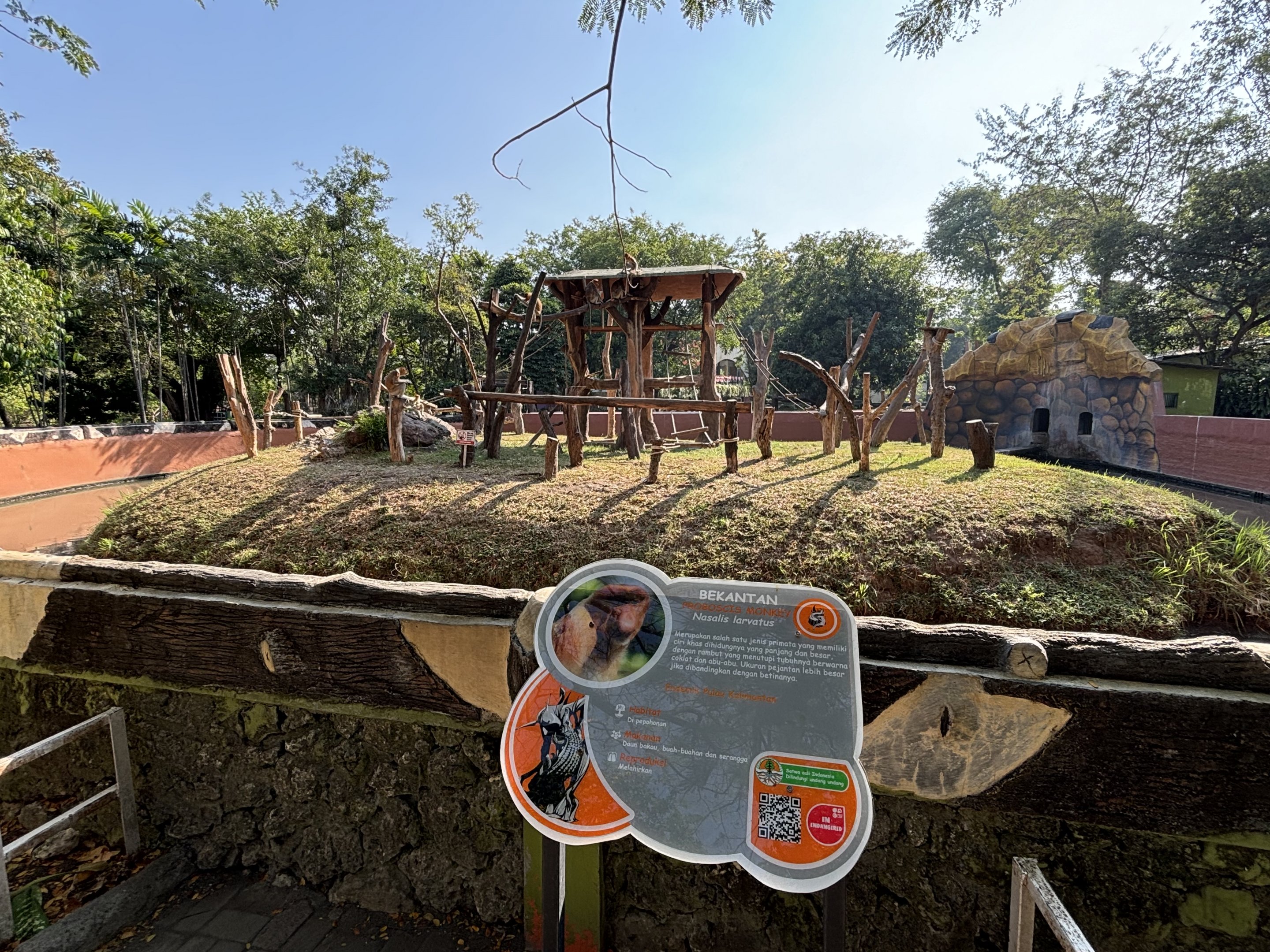 Proboscis Monkey Exhibit