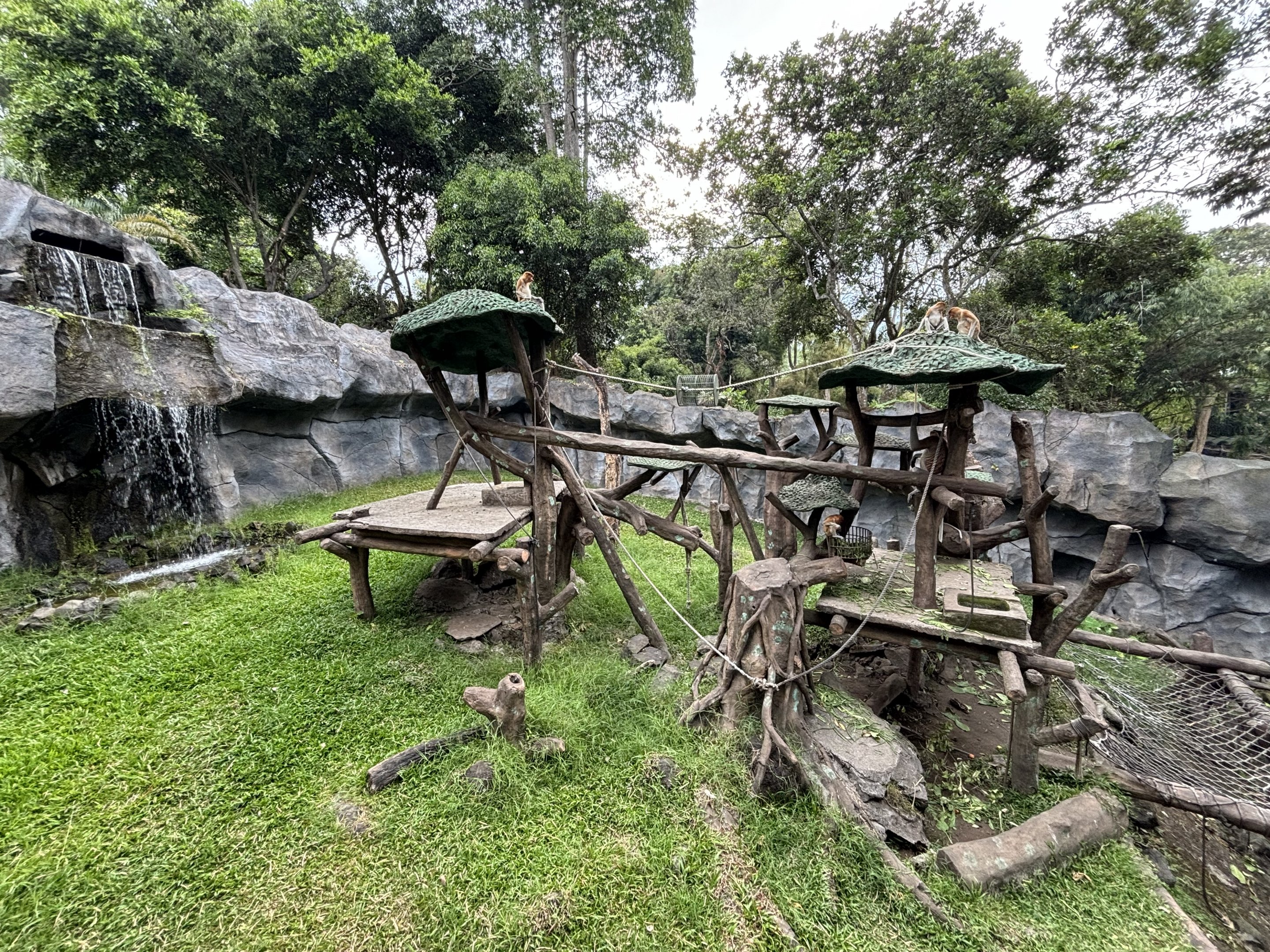 Proboscis Monkey Exhibit