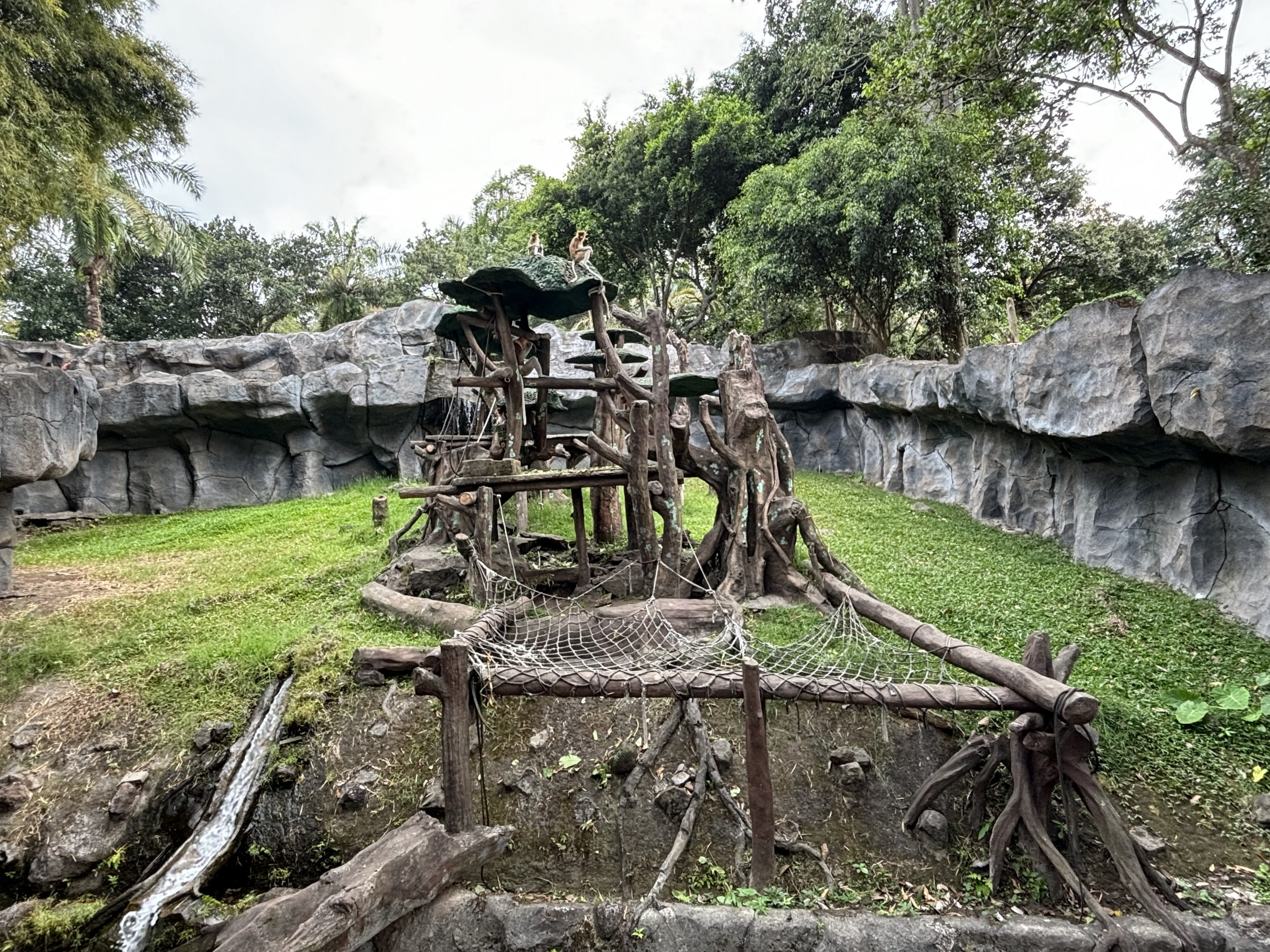 Proboscis Monkey Exhibit