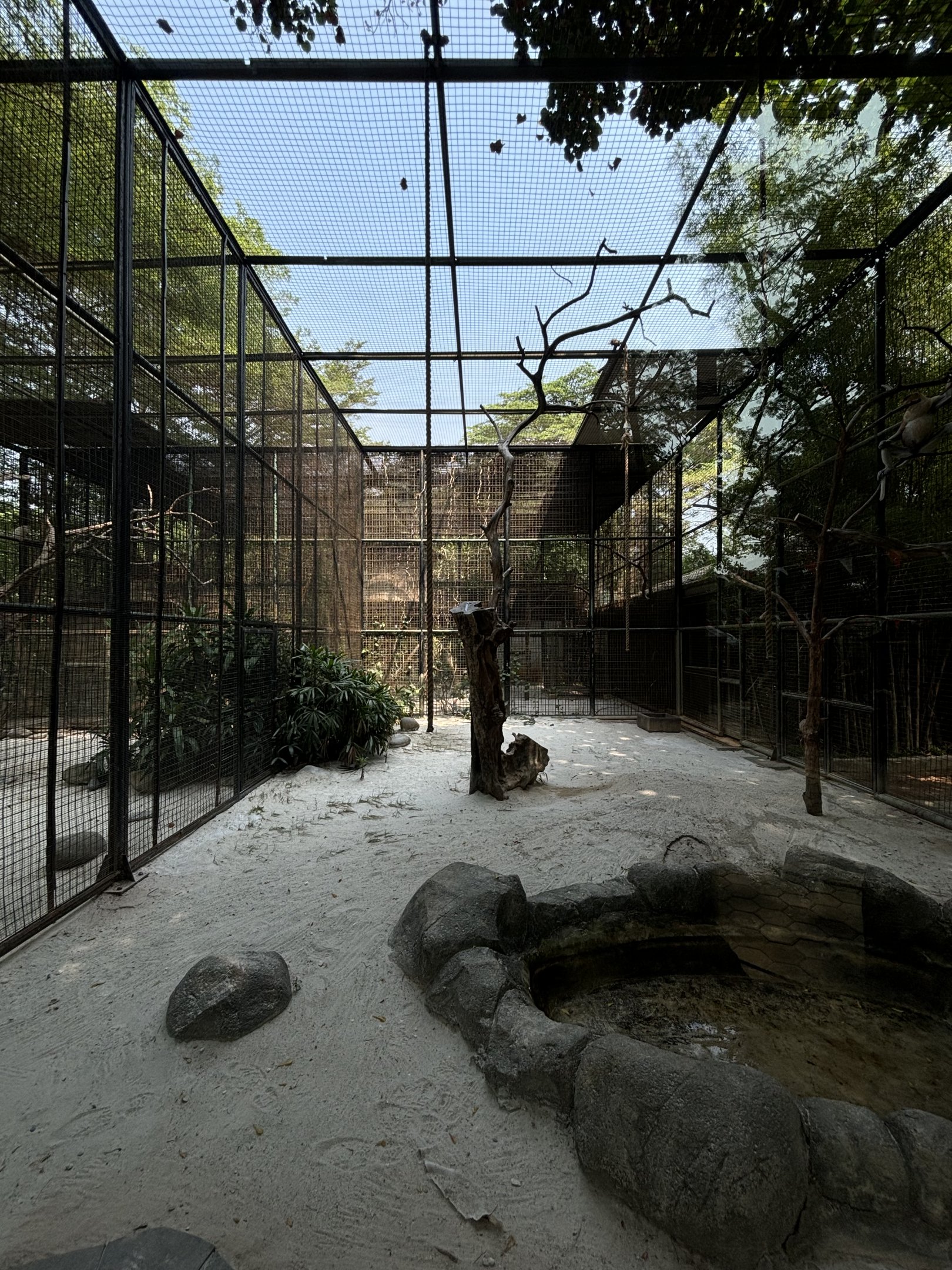 Proboscis Monkey Exhibit