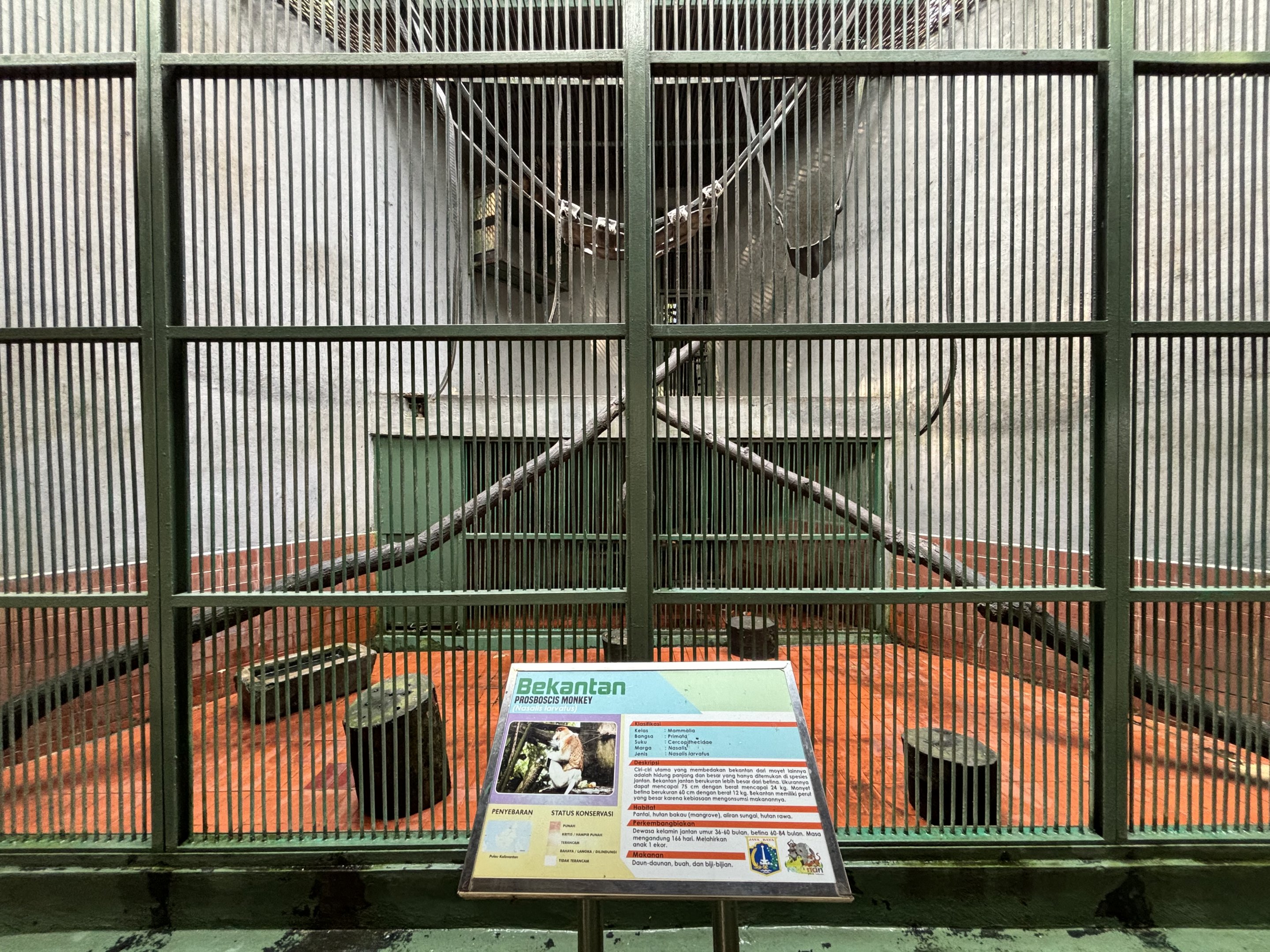 Proboscis Monkey Exhibit