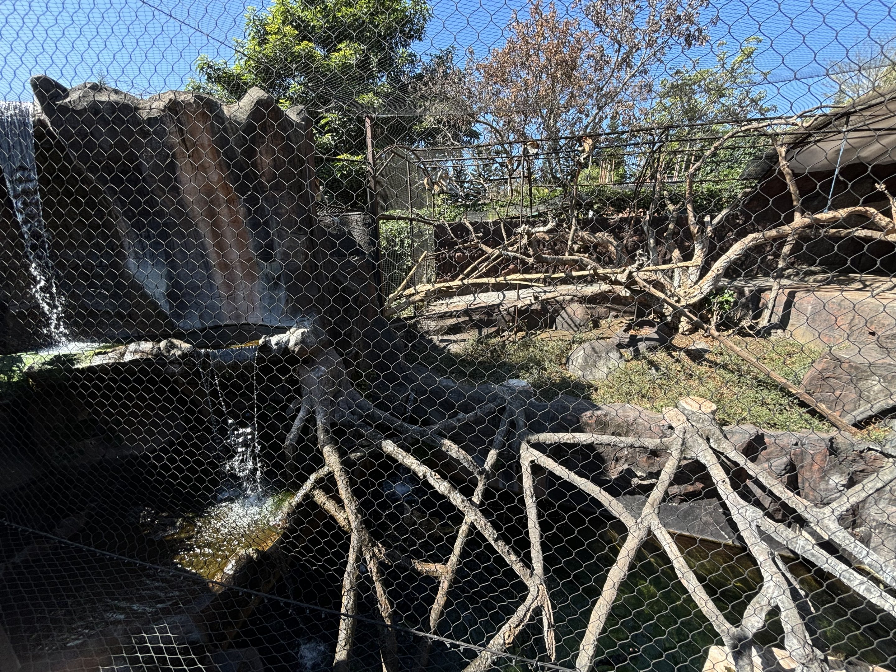 Proboscis Monkey + Glossy Ibis Exhibit