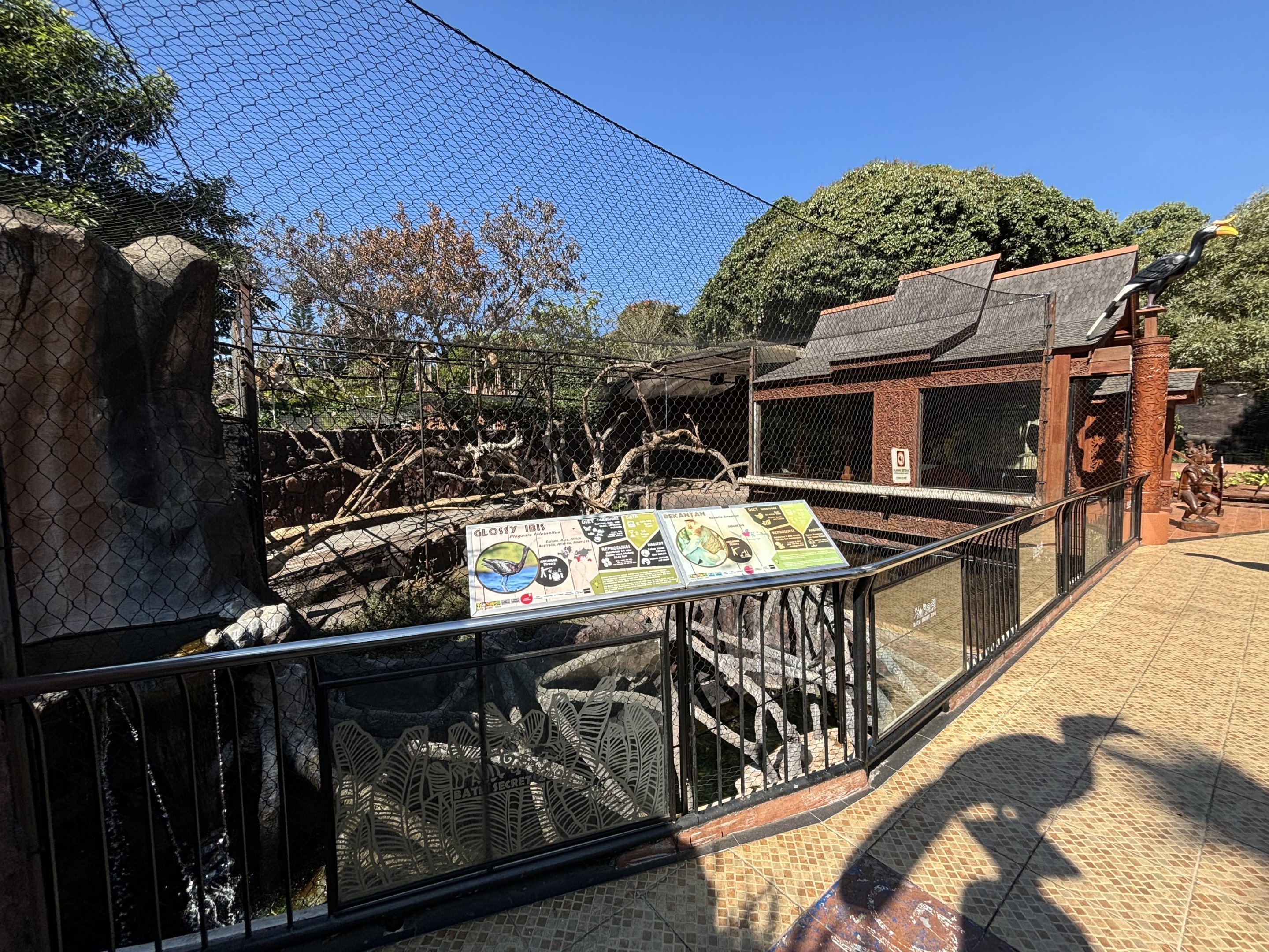 Proboscis Monkey + Glossy Ibis Exhibit